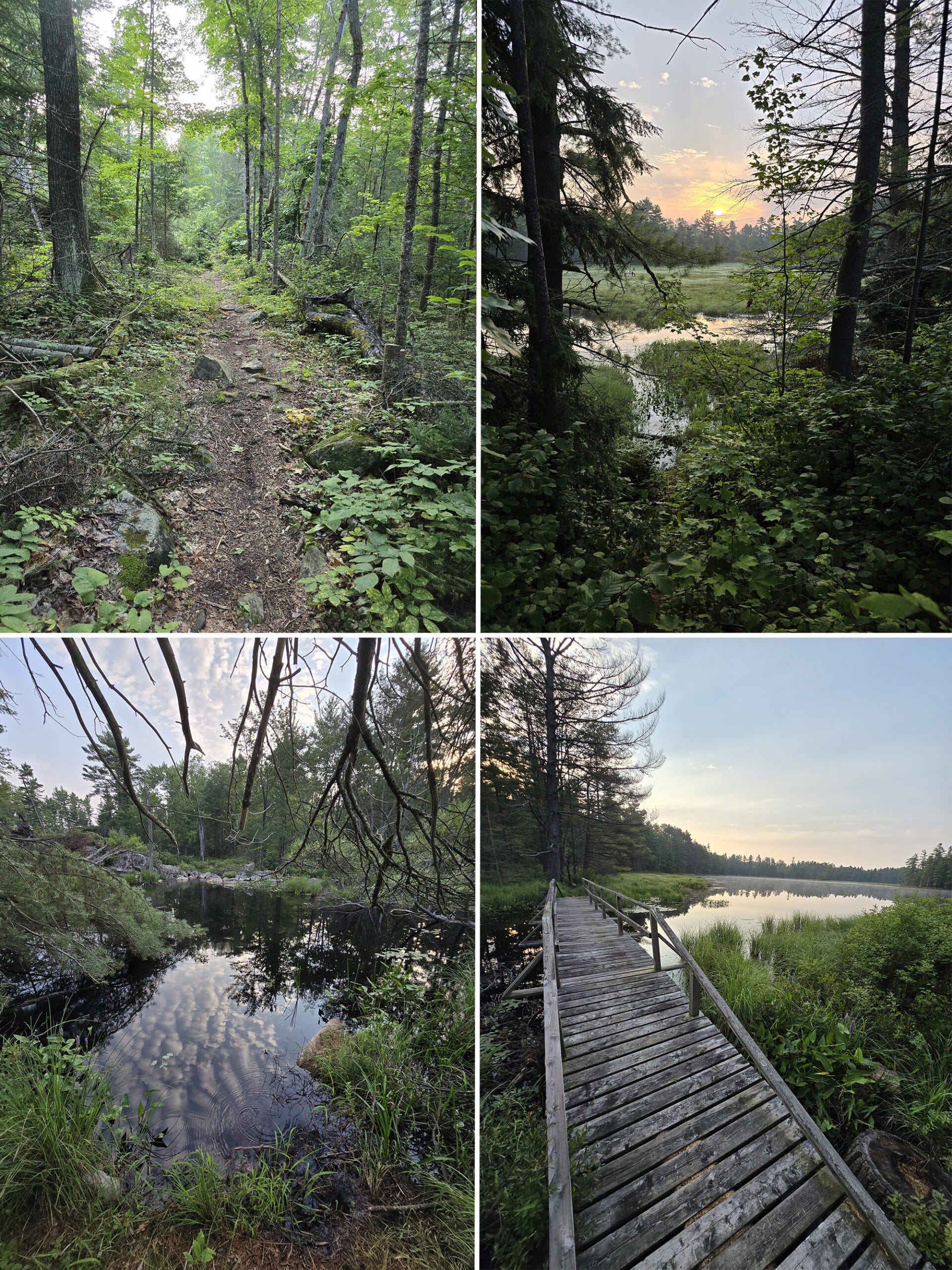 4 part image showing various views along the Abes Essens Clutes Lake at Bon Echo Provincial Park.