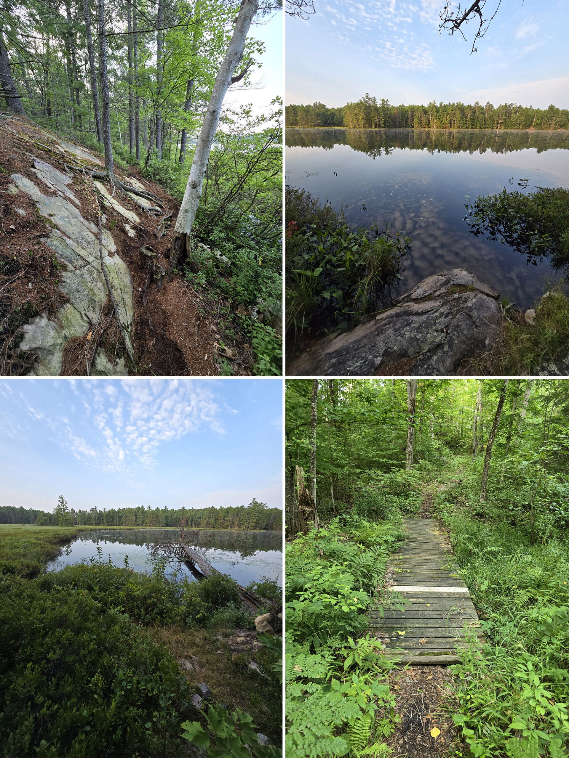 4 part image showing various views along the Abes Essens Clutes Lake at Bon Echo Provincial Park.