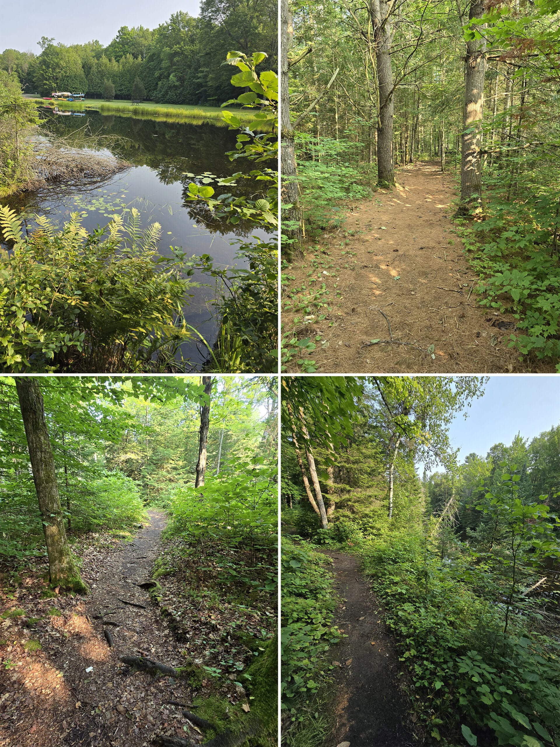 4 part image showing various views along the Bon Echo Creek Trail.