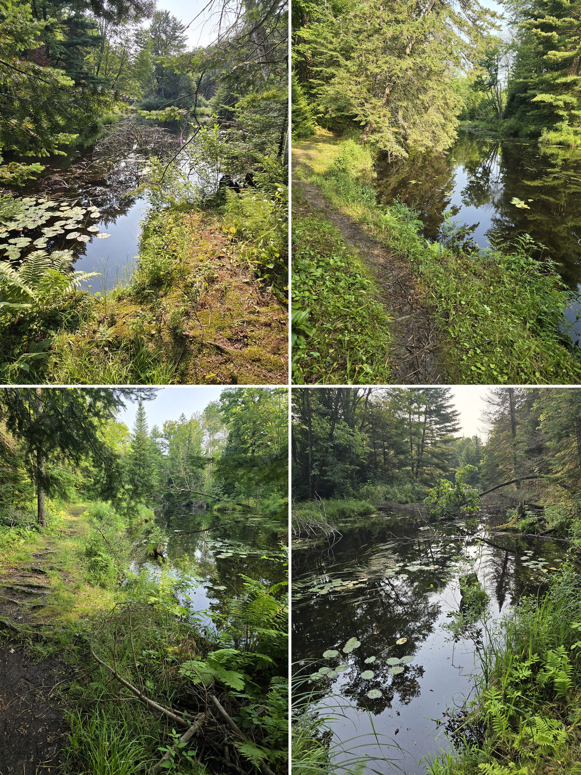 4 part image showing various views along the Bon Echo Creek Trail.