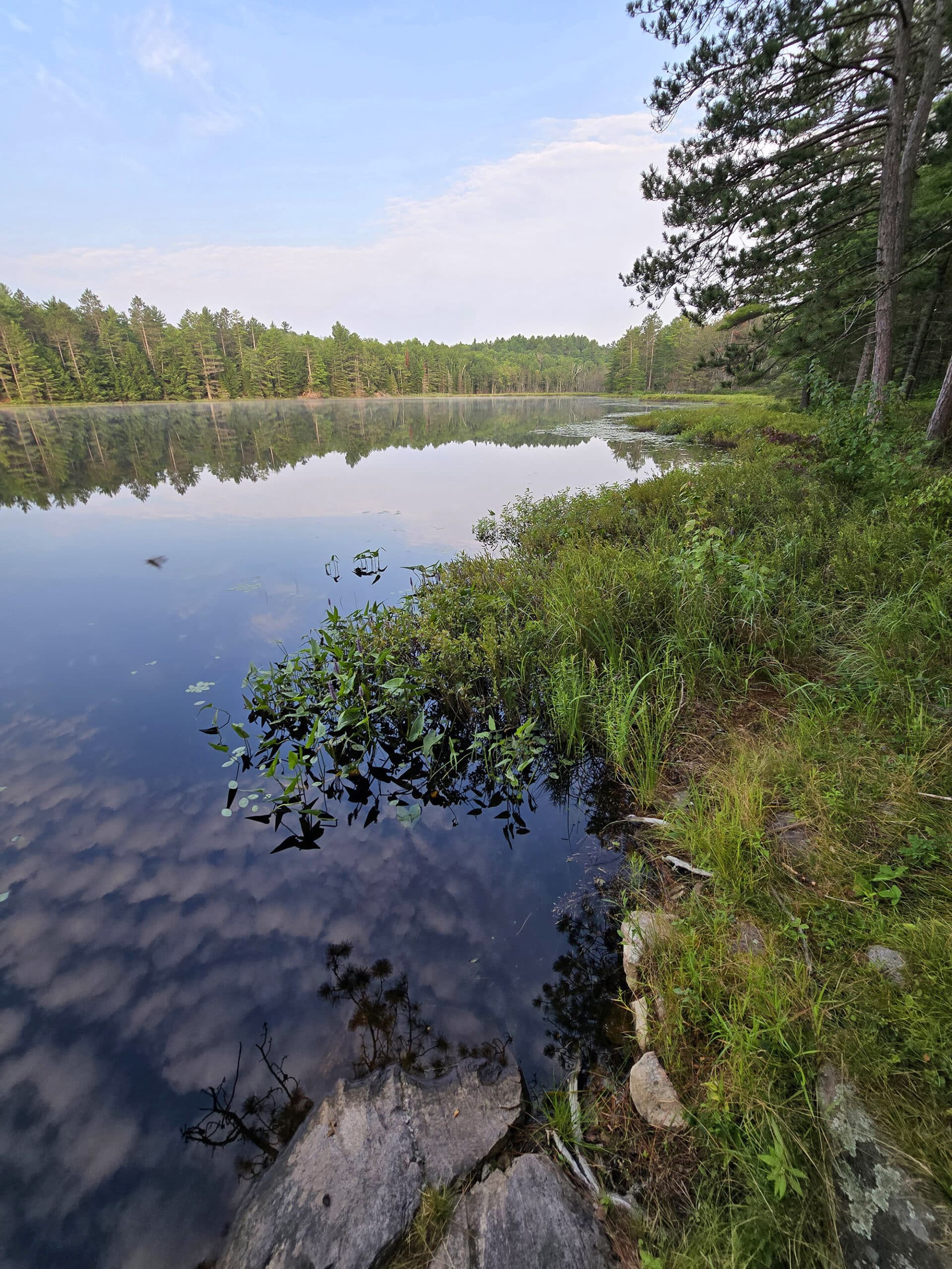 A lake surrounded by trees.