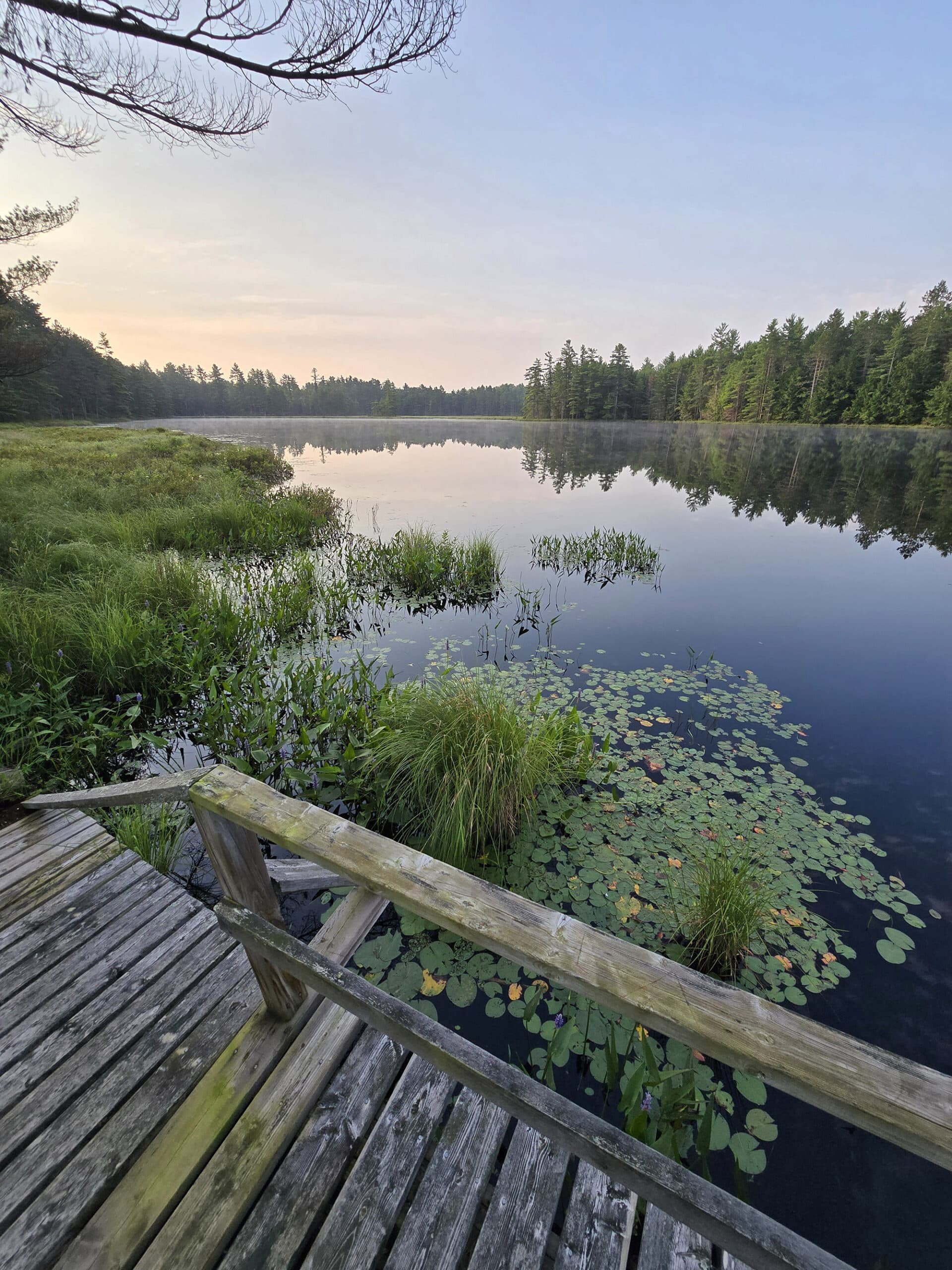 A lake surrounded by trees, boardwalk in the foreground.