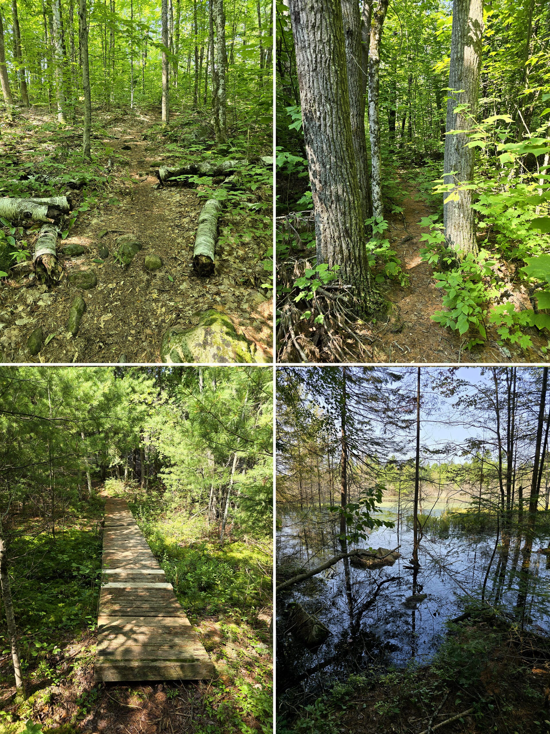 4 part image showing various views along the Shield Trail at Bon Echo Provincial Park.