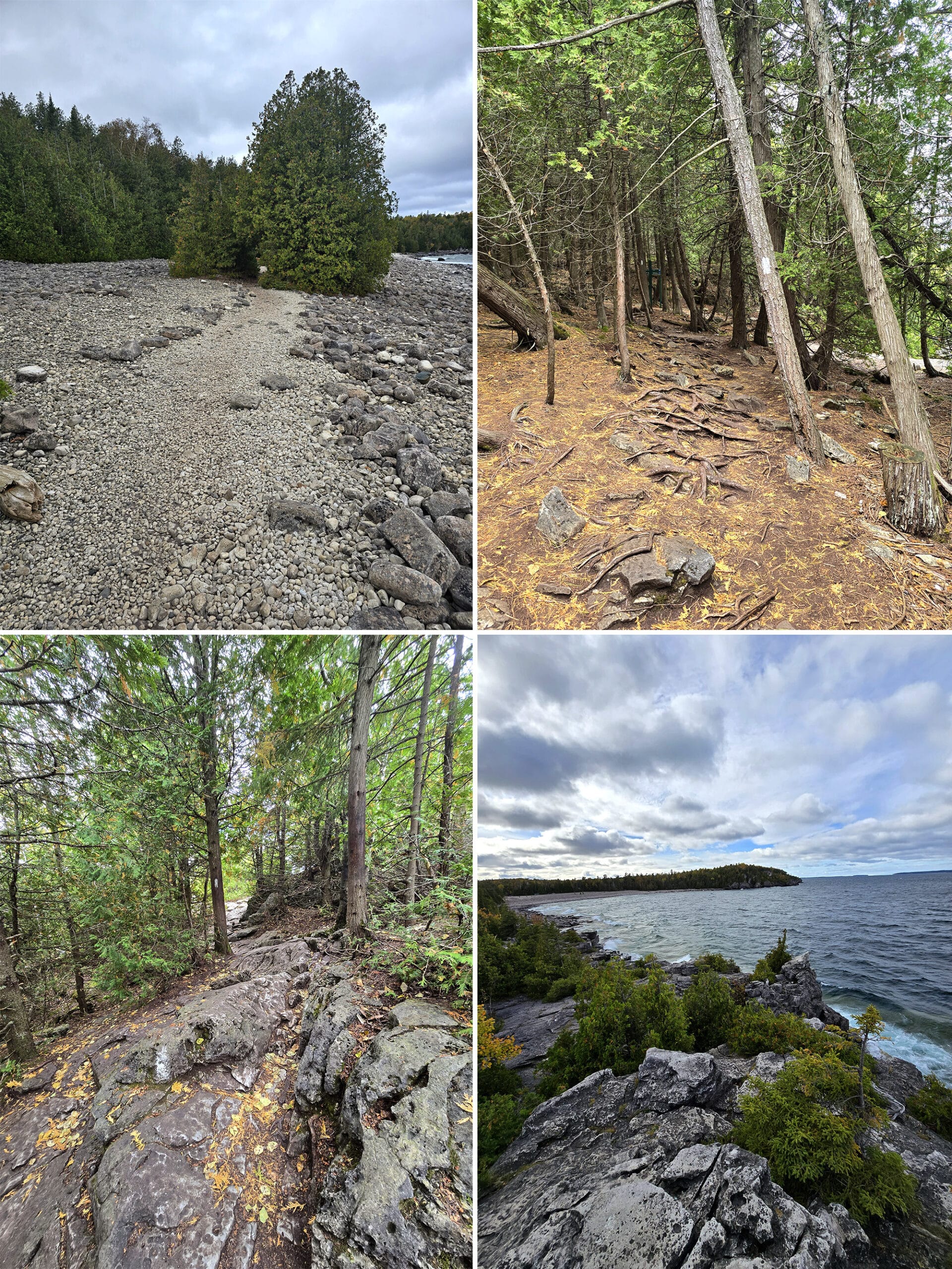4 part image showing various views of the Bruce Trail in Bruce Peninsula National Park.