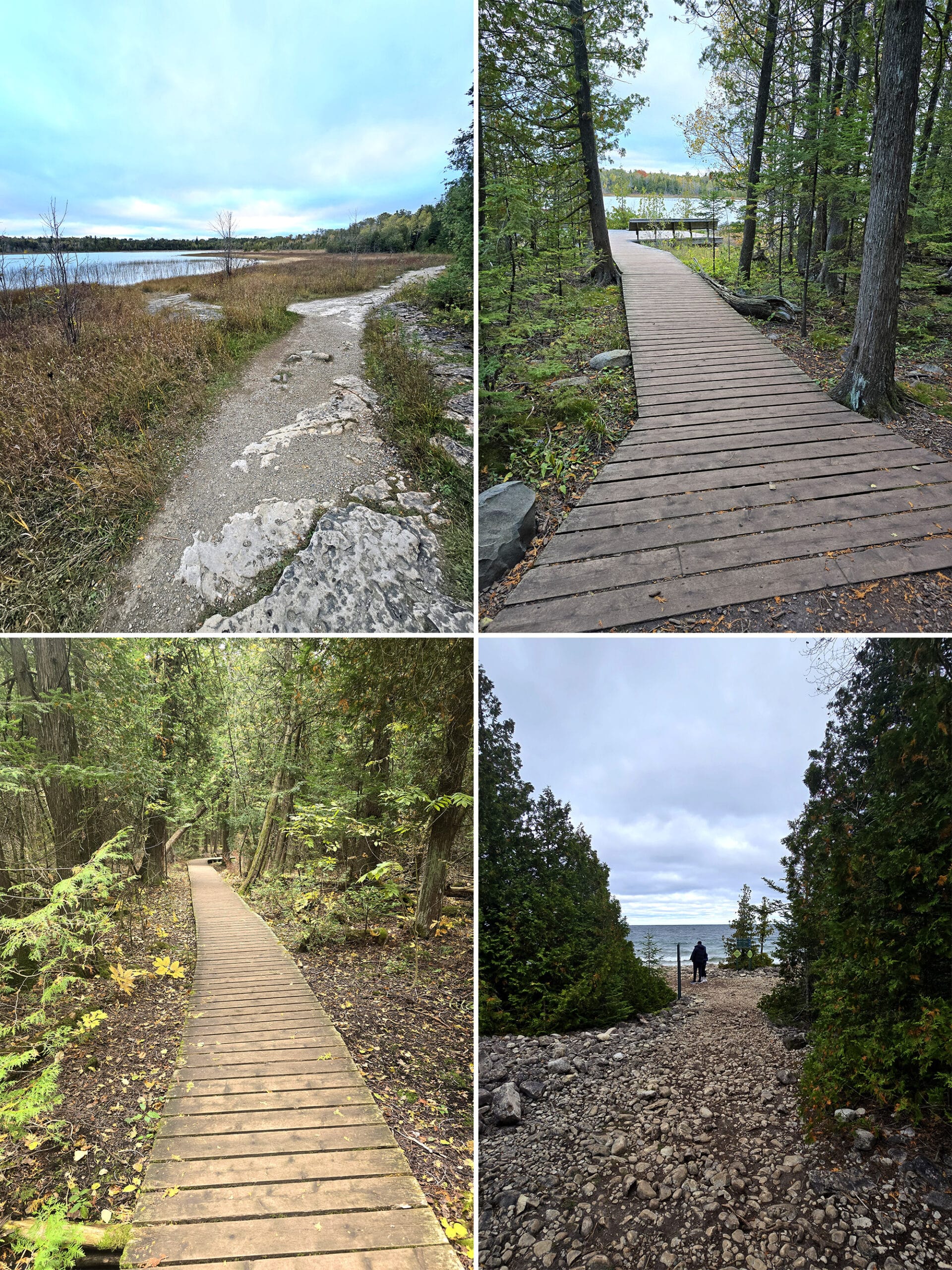 4 part image showing various views of the Horse Lake Trail in Bruce Peninsula National Park.