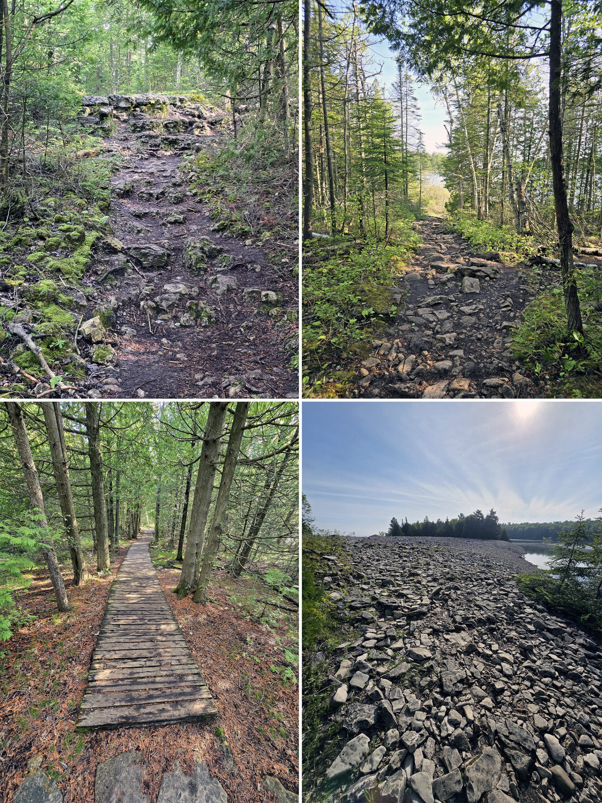 4 part image showing various views along the Marr Lake Trail in Bruce Peninsula National Park
