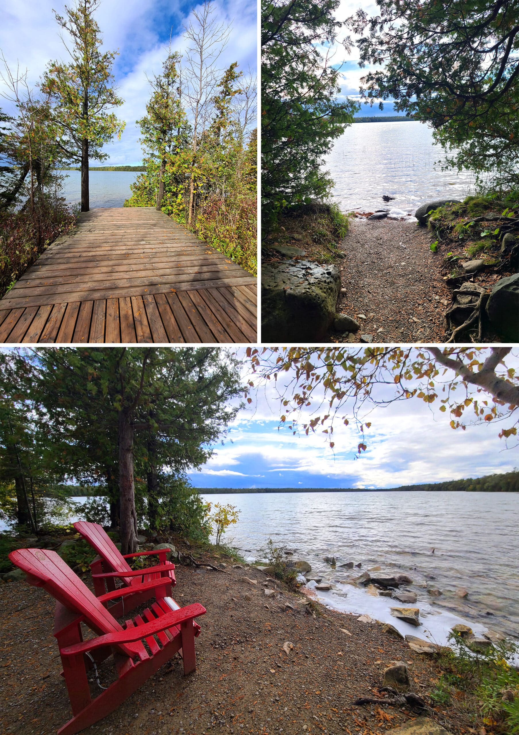 4 part image showing various views of cyprus lake trail, with a boardwalk and trees going around a small lake.