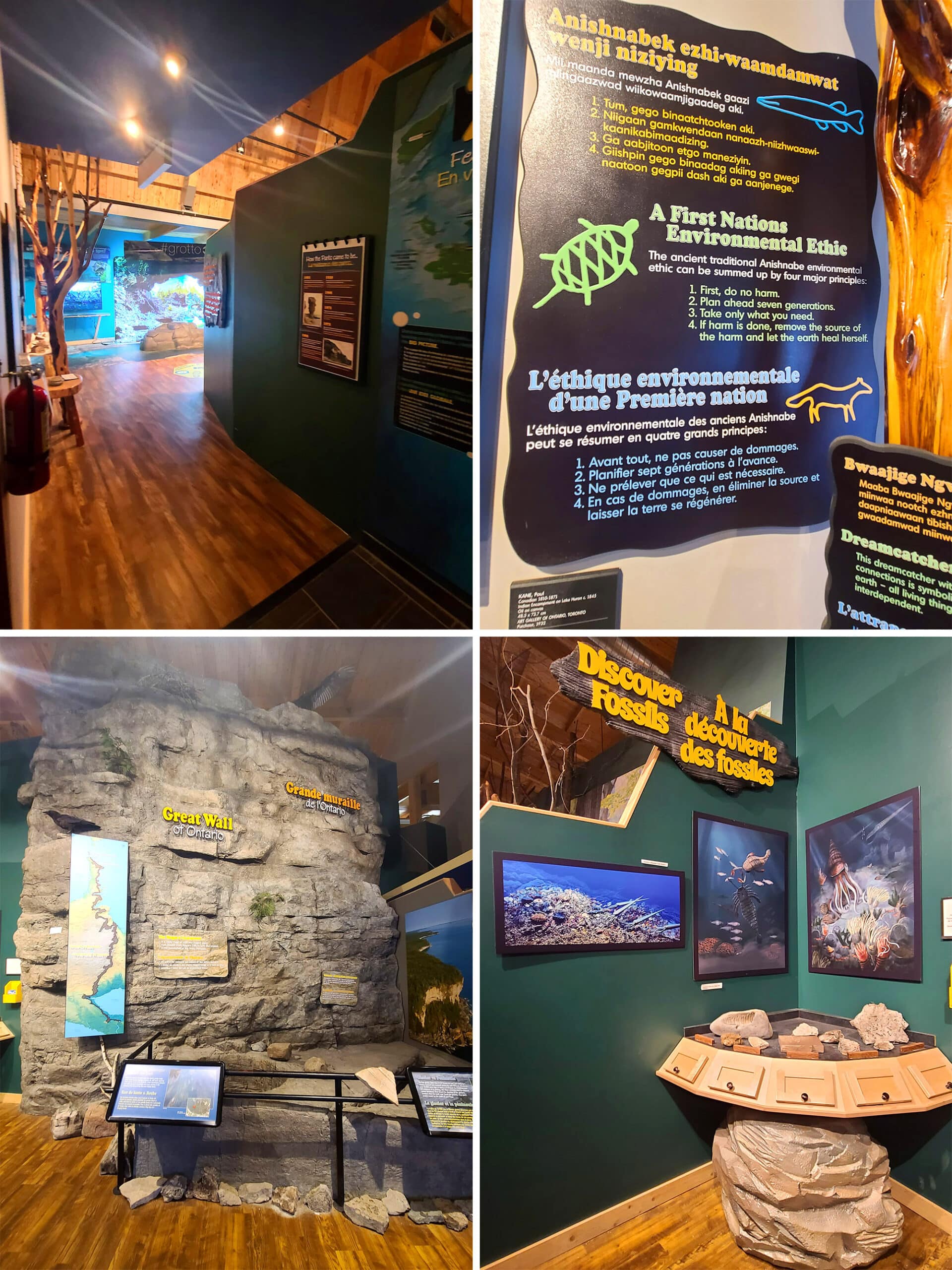 4 part image showing various full scale museum exhibits in the bruce peninsula national park visitor centre.