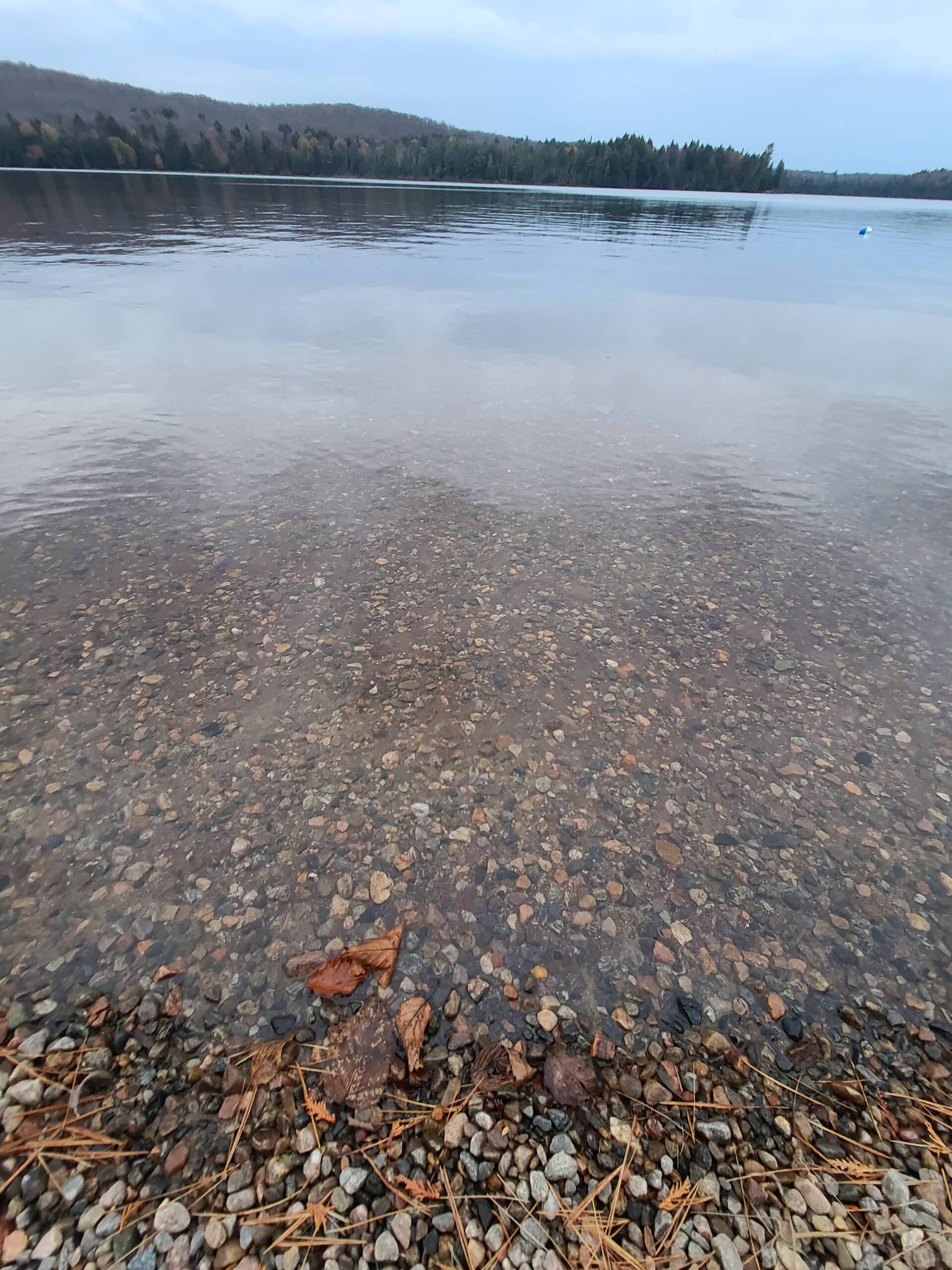 A close up view of the water at Canisbay lake, showing the rocky bottom.
