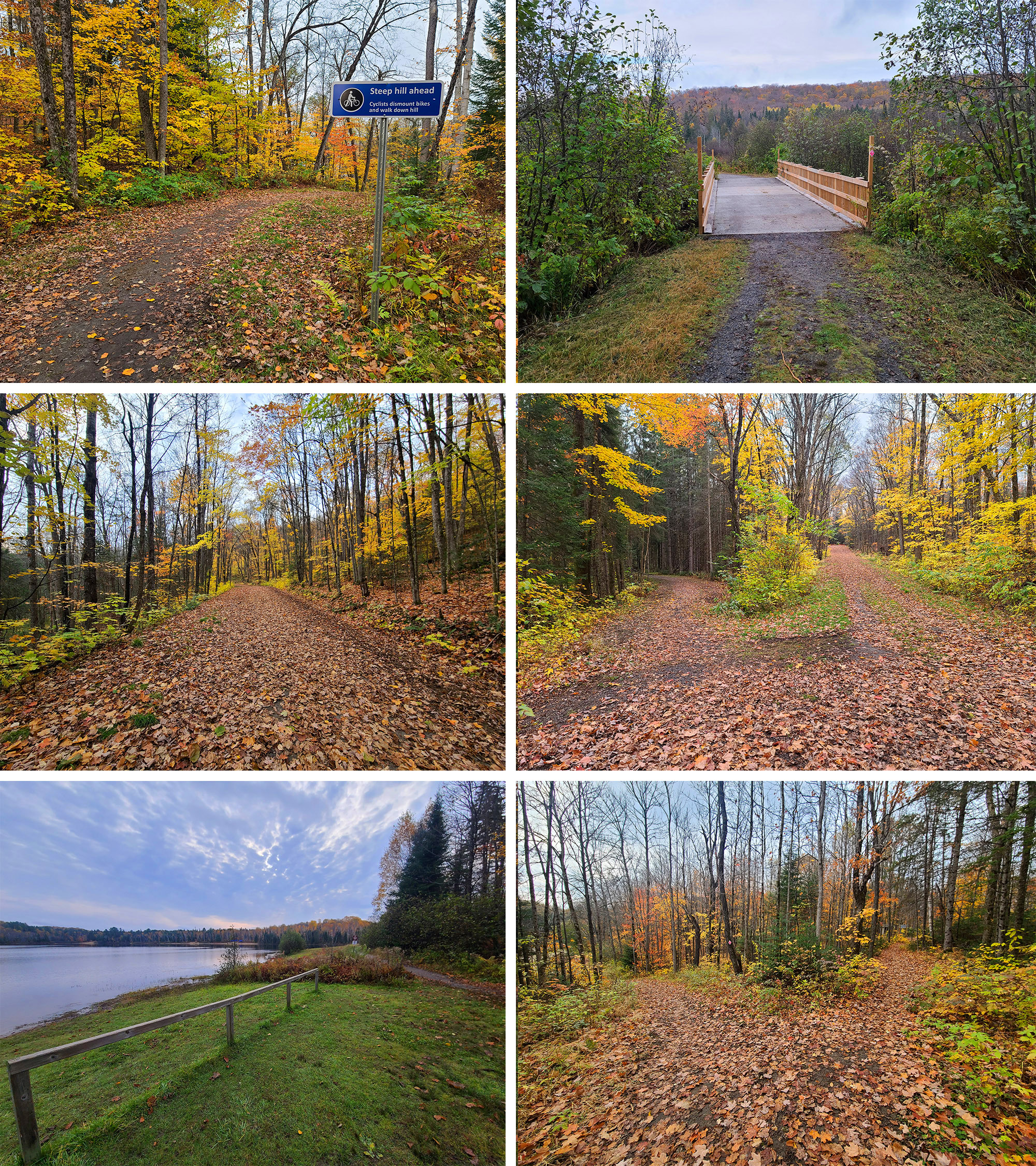 6 part image showing various views of Arrowhead Lake Hiking Trail.