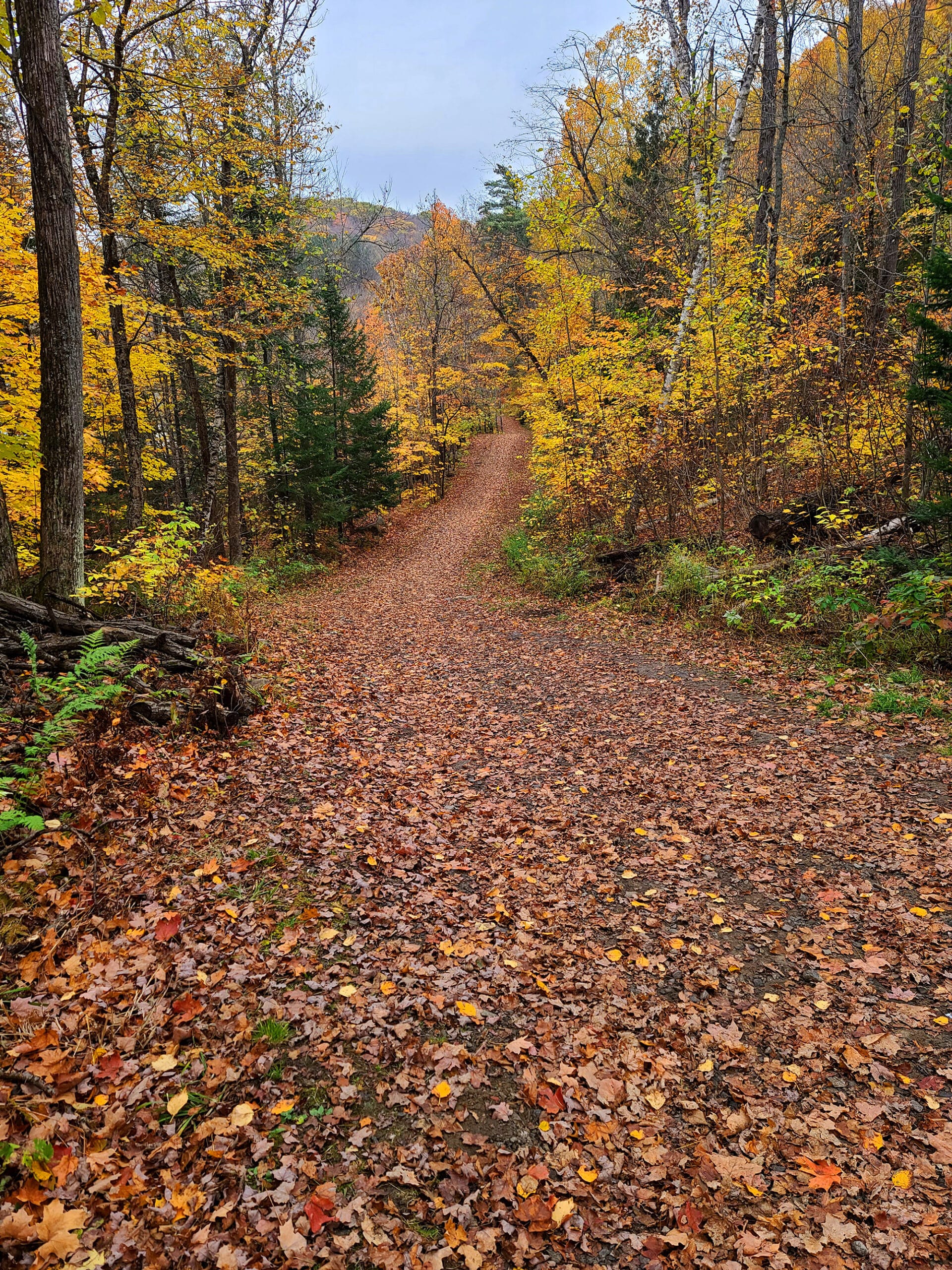 A wide section of Arrowhead Lake Hiking Trail.