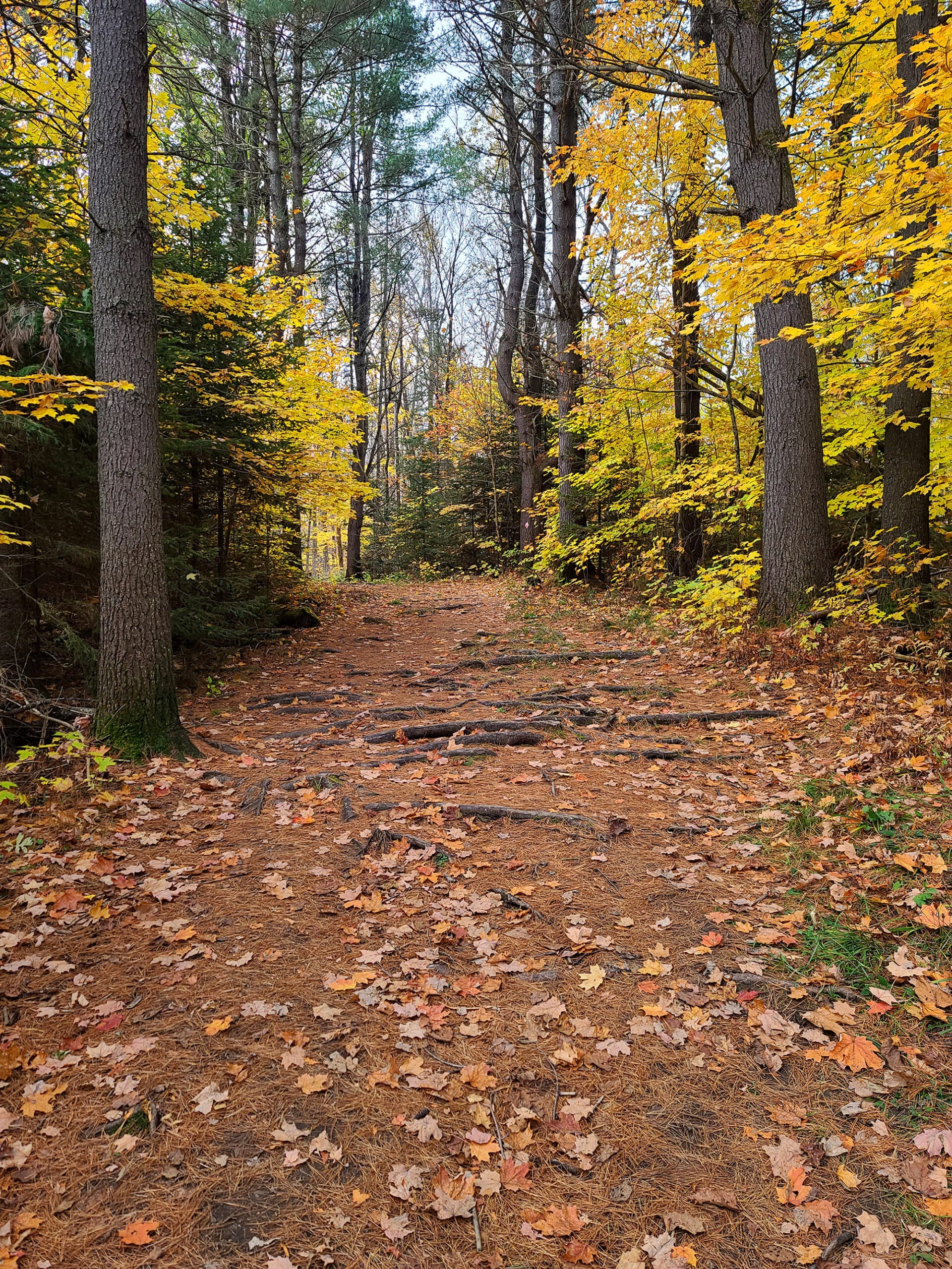 A wide section of Arrowhead Lake Hiking Trail.