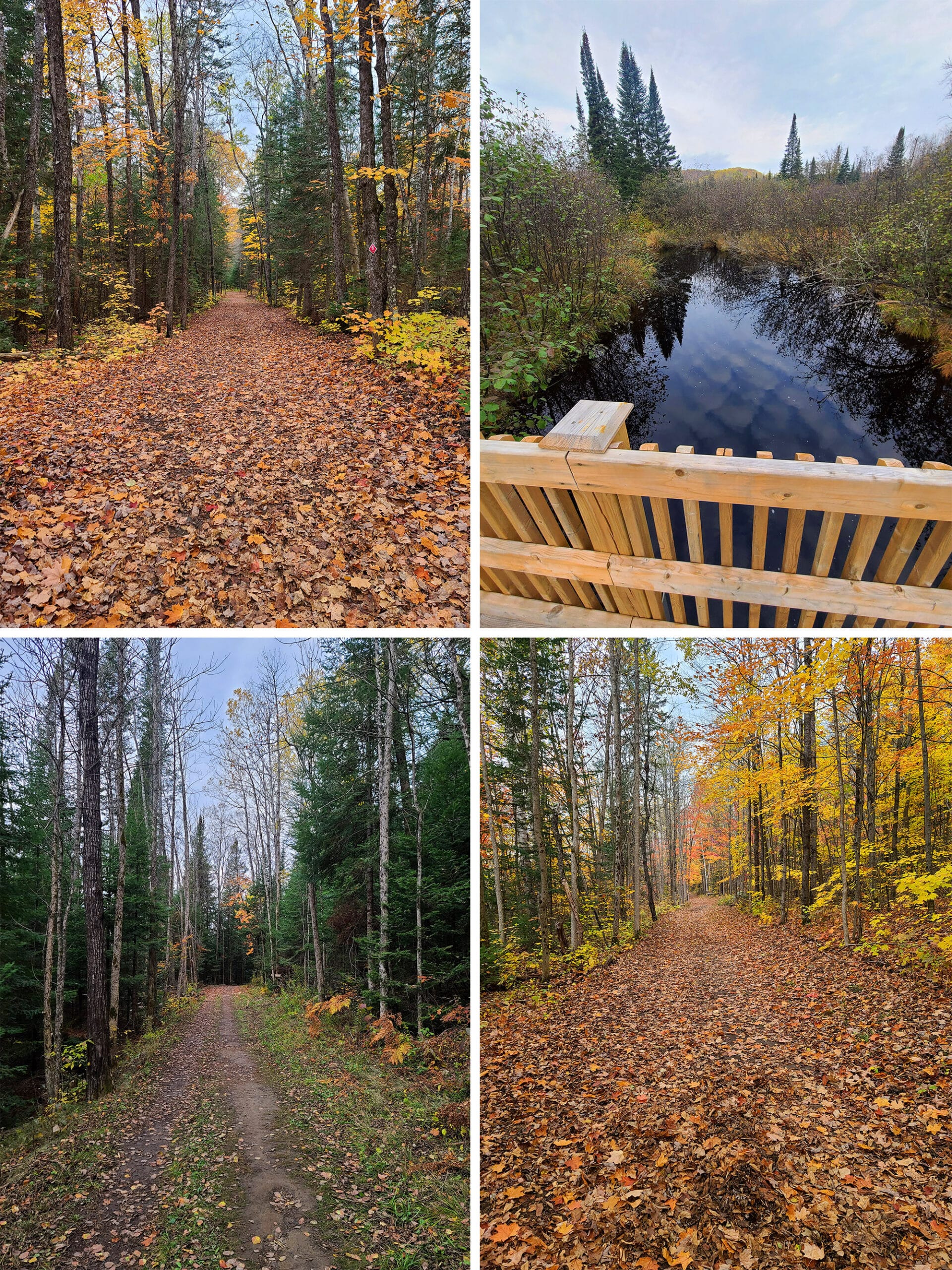 4 part image showing various sights along the Arrowhead Lake Hiking Trail.