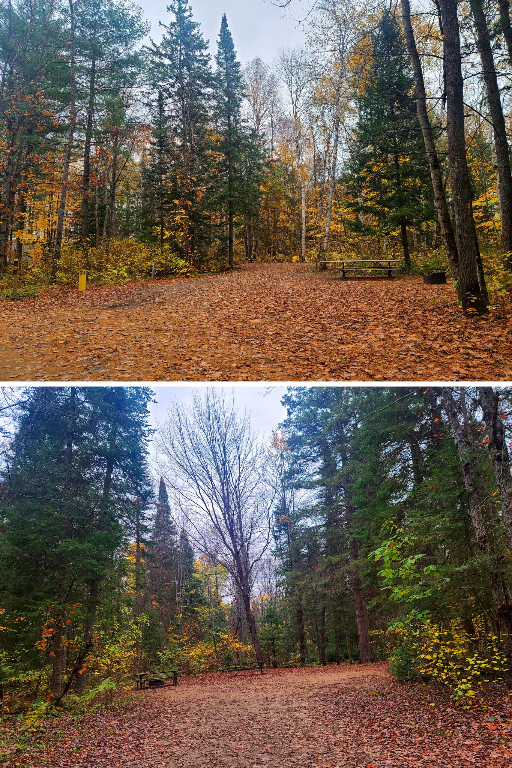 2 empty campsites at arrowhead provincial park.