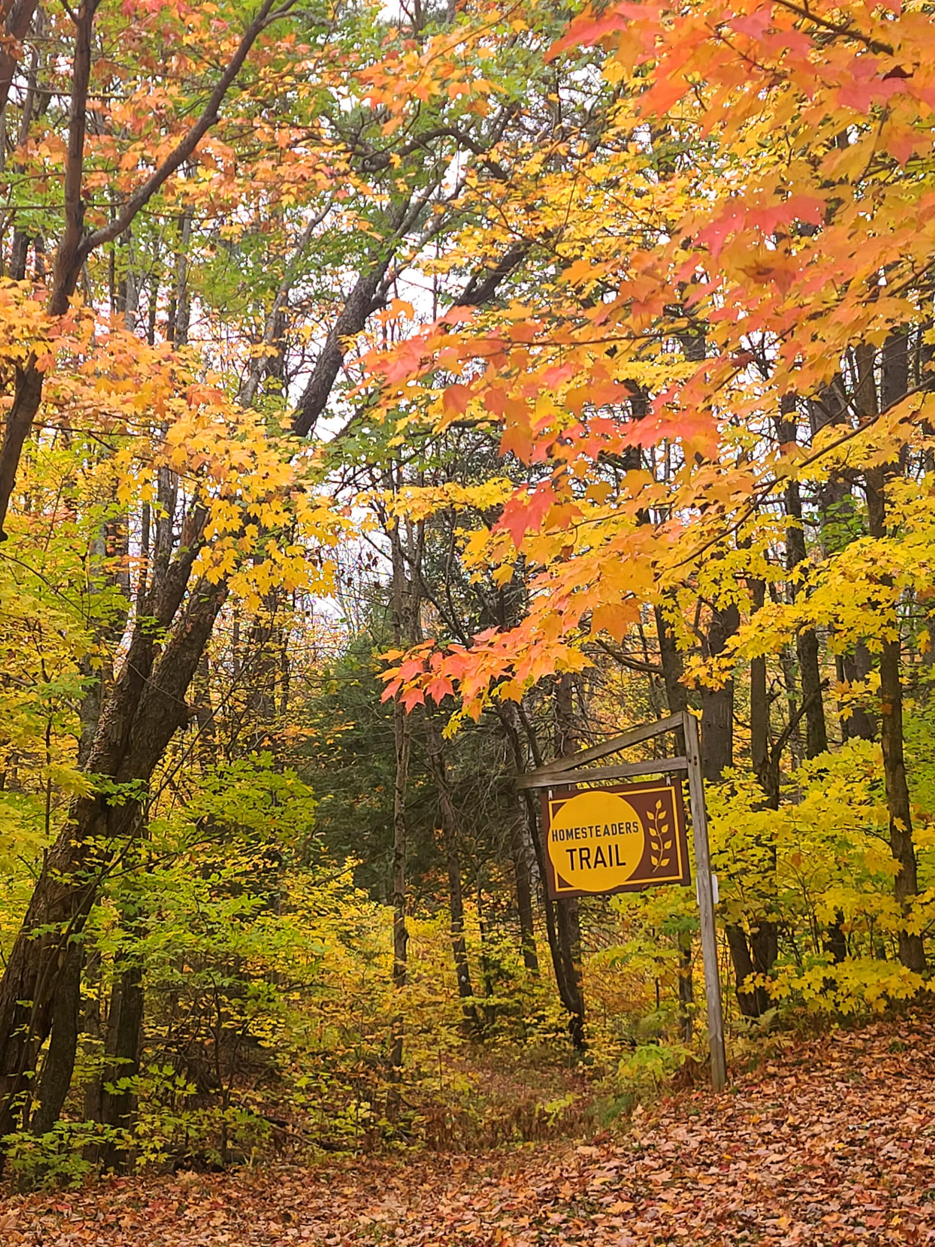 The trail head for Homesteaders Trail.