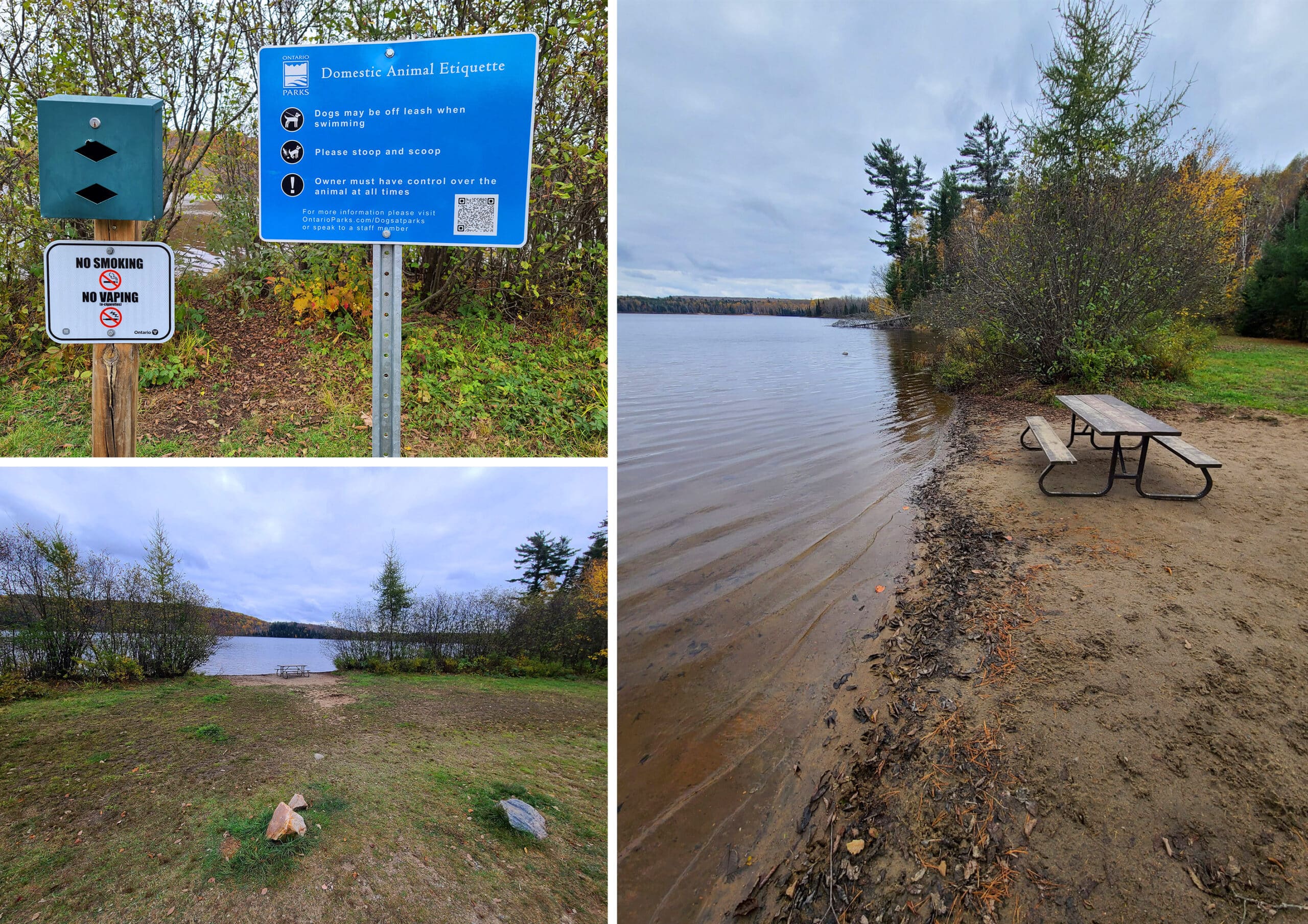 3 part image showing the Pet Exercise Area at Arrowhead.