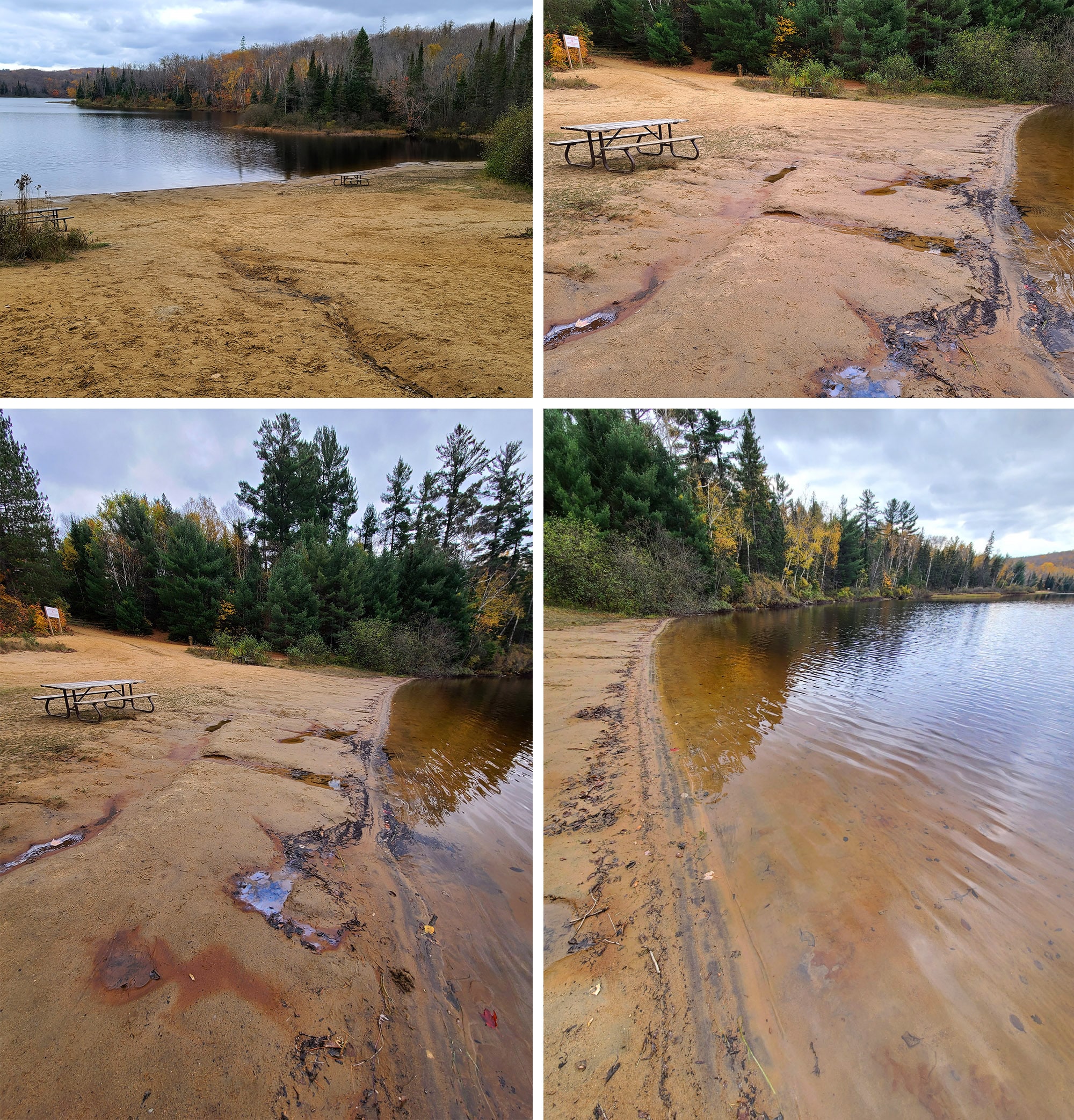 4 part image showing various views of Roe Beach.