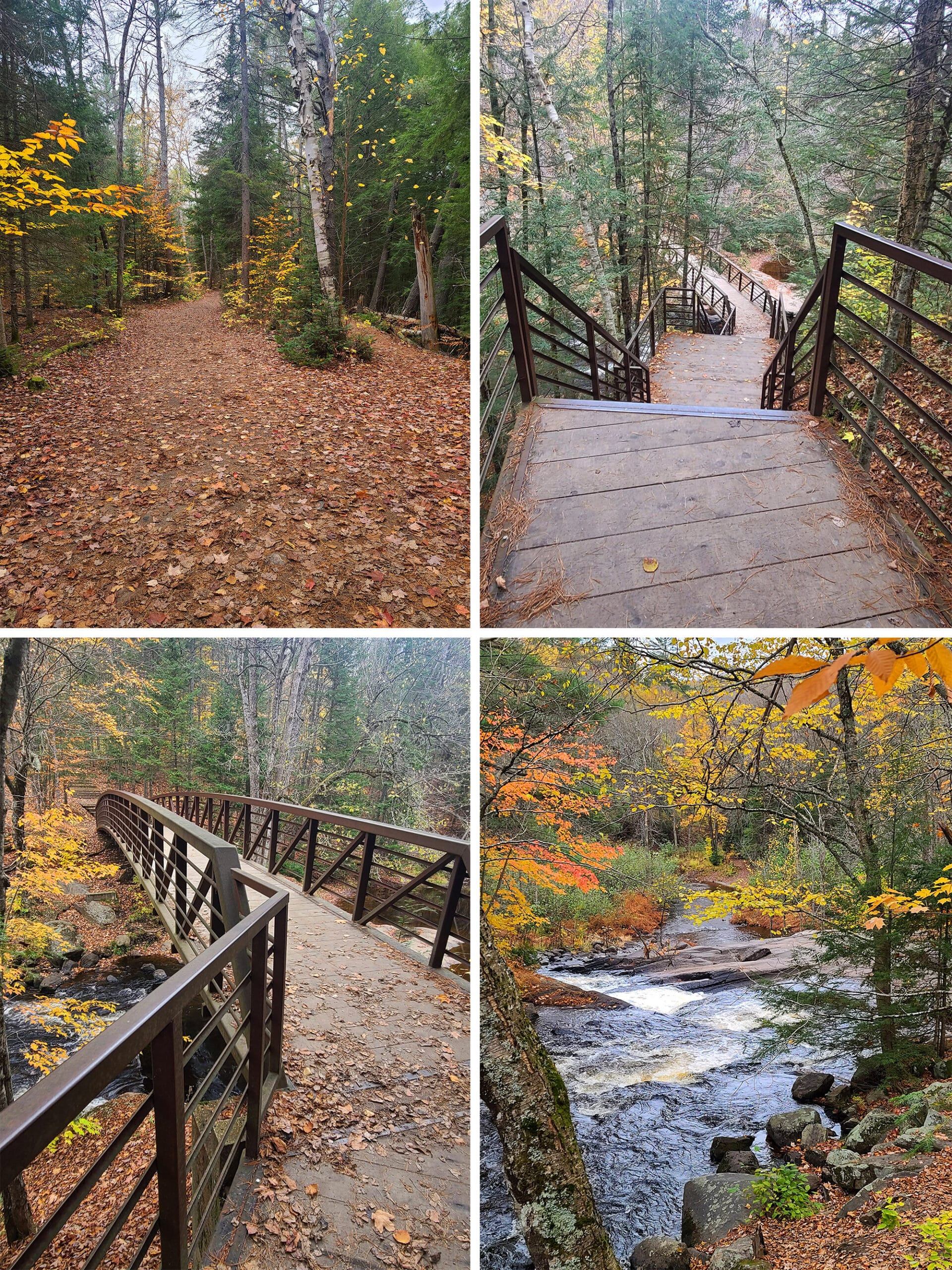 4 part image showing various views of the trail and bridge leading to Stubb's Falls.