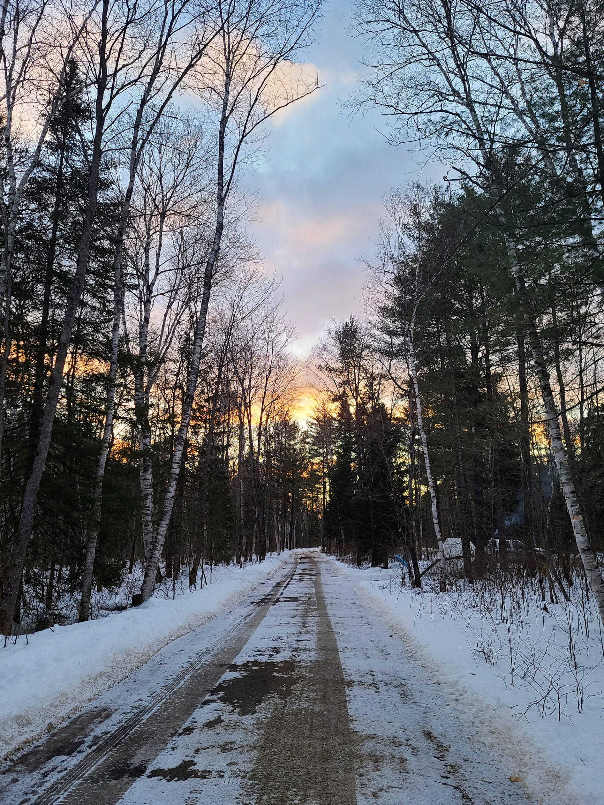 A road in Arrowhead PP during a winter sunset.