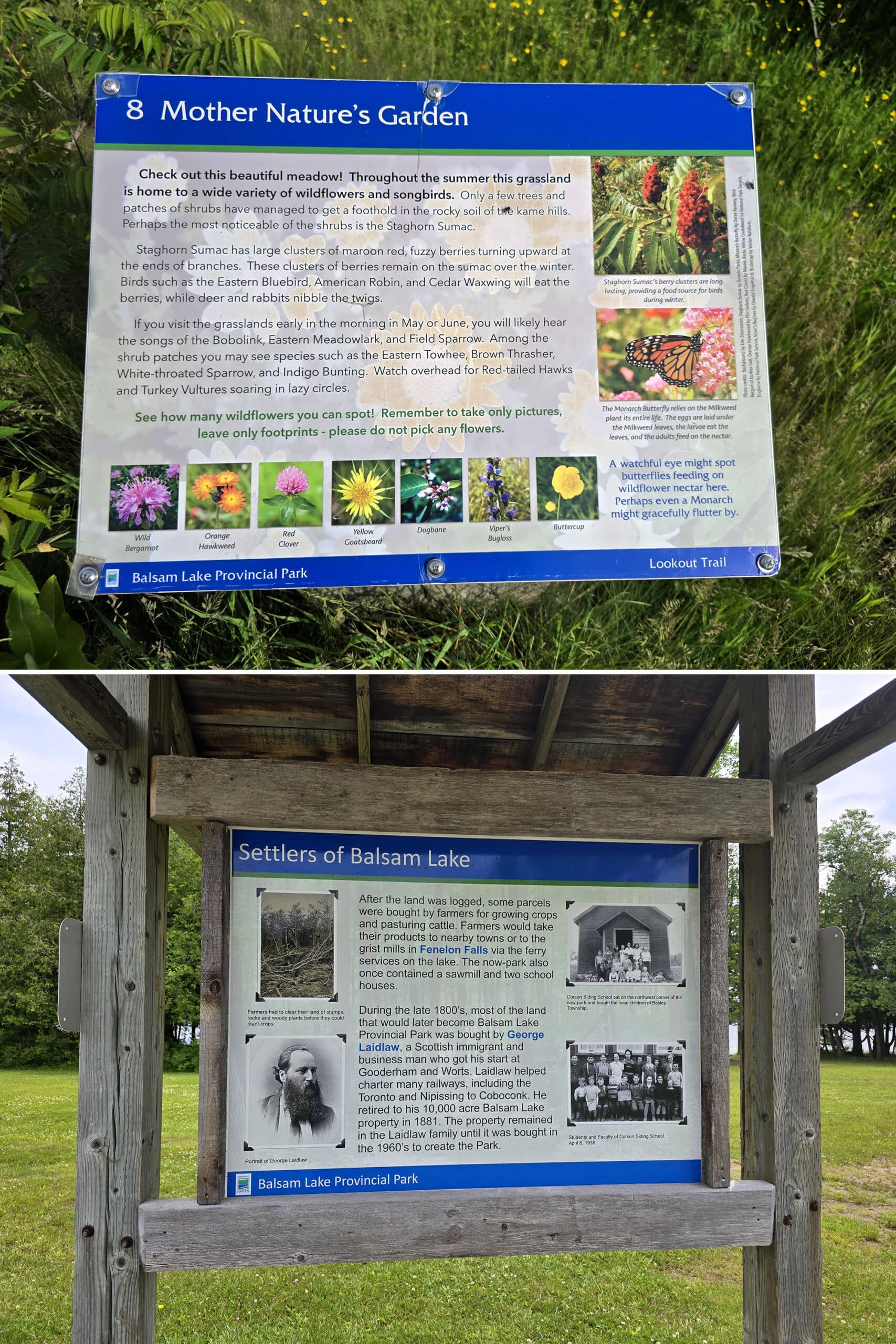 2 part image showing different signs educating about the wildlife and history of balsam lake provincial park.