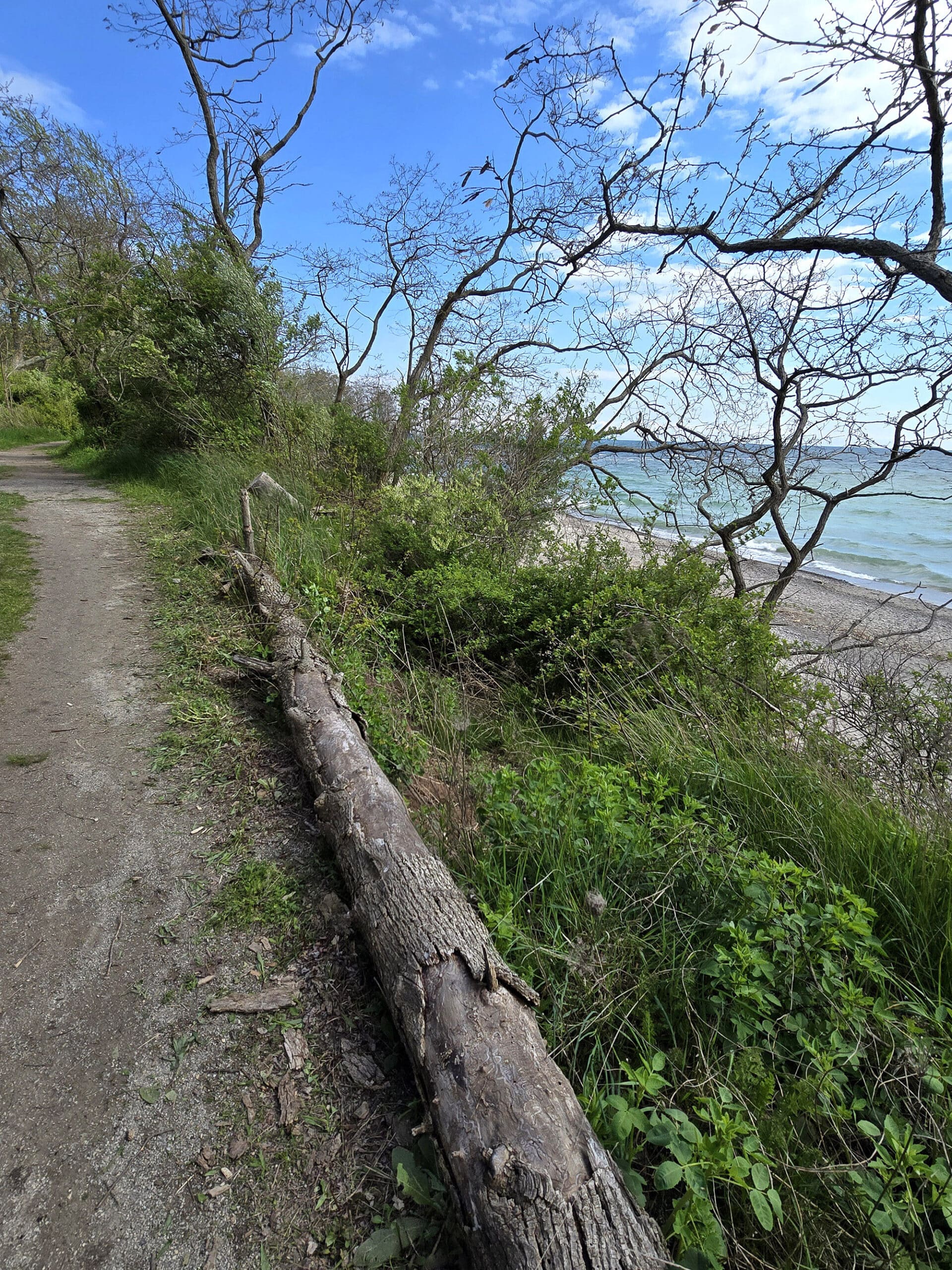 A flat but narrow trail along a cliff, overlooking the beach at rock point provincial park.