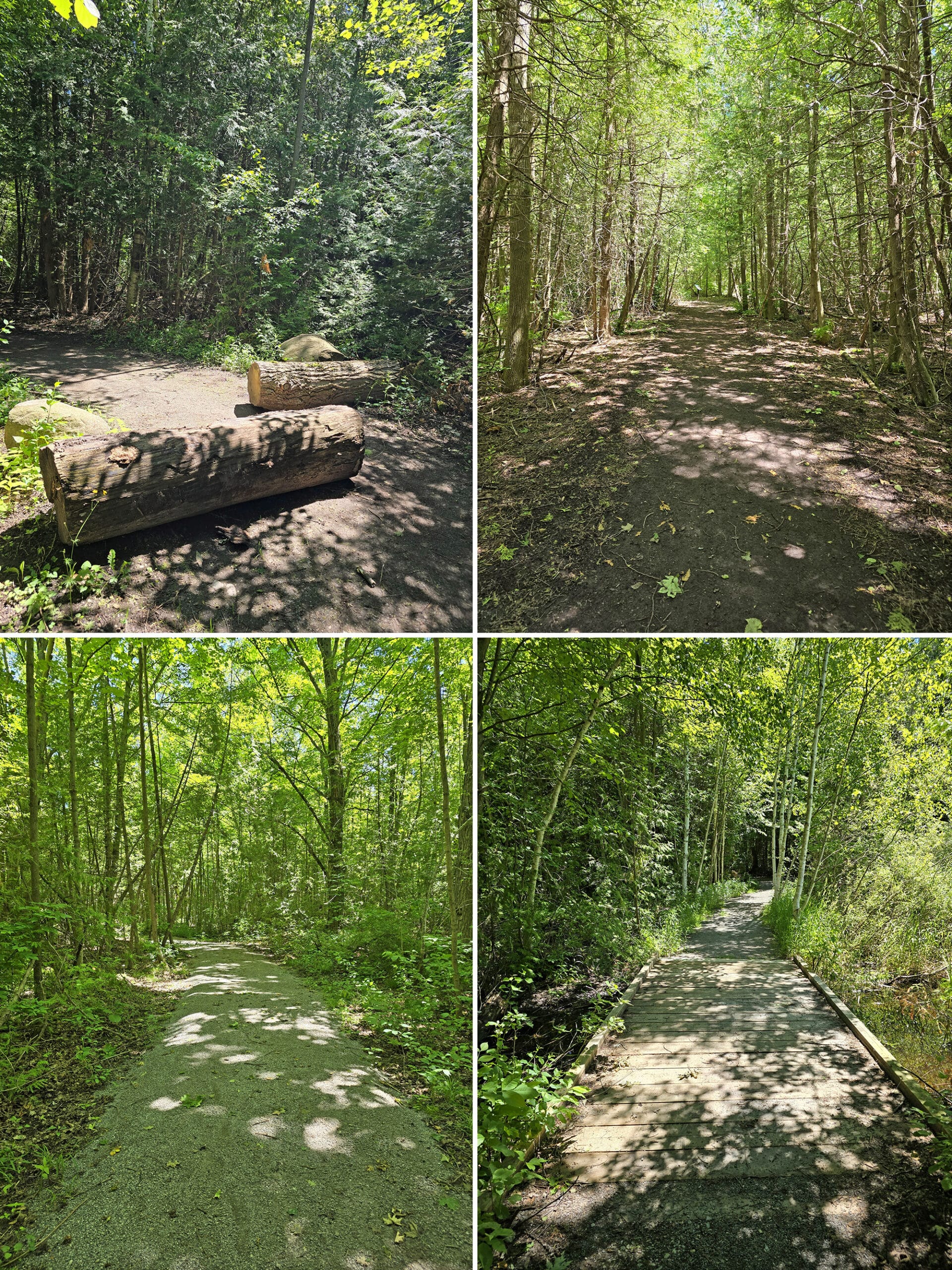 4 part image showing various views along the maidenhair fern trail at Sibbald Point Provincial Park.