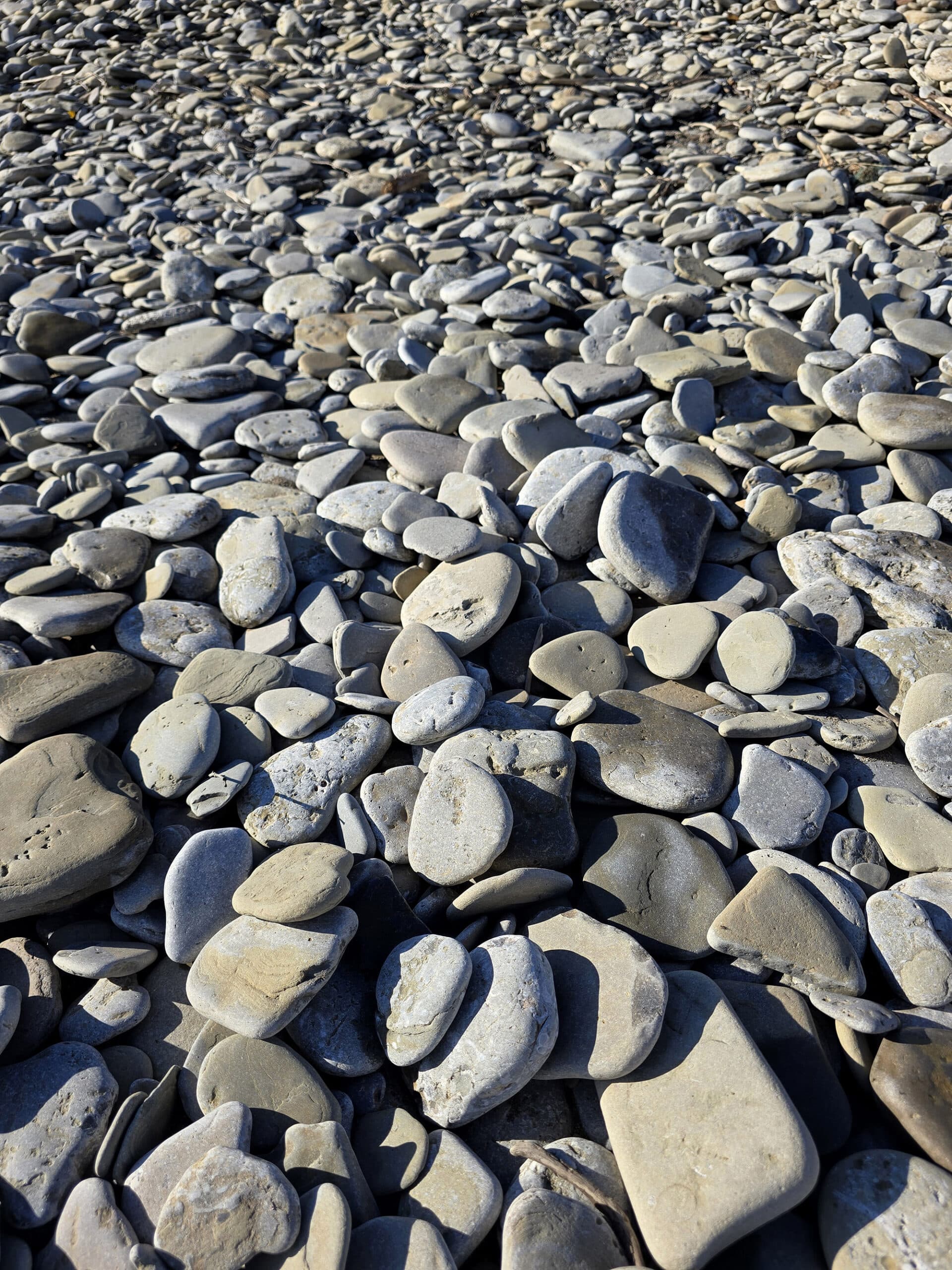 A beach full of smooth, flat rocks.