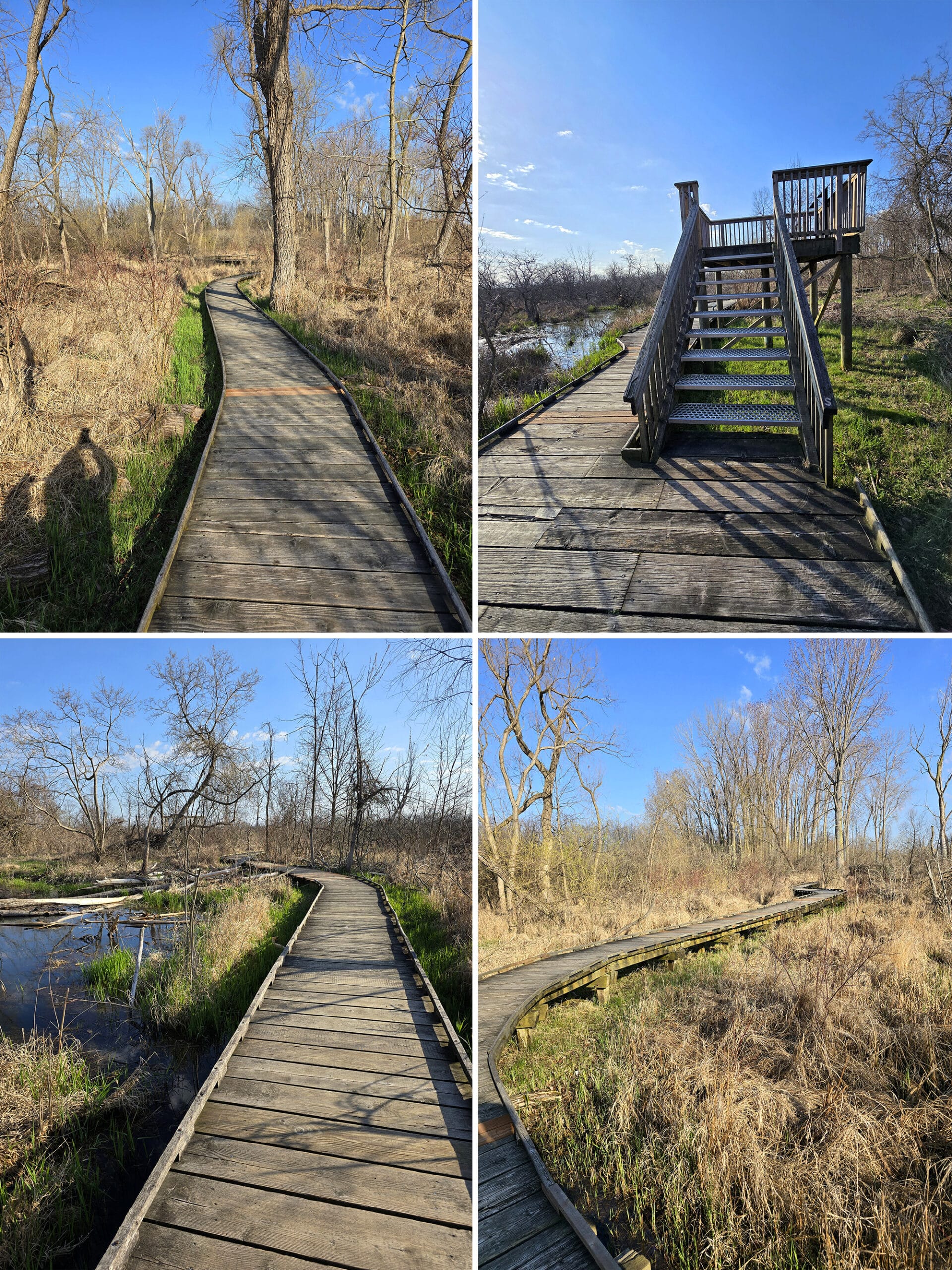 4 part image showing various views along the delaurier homestead trail.