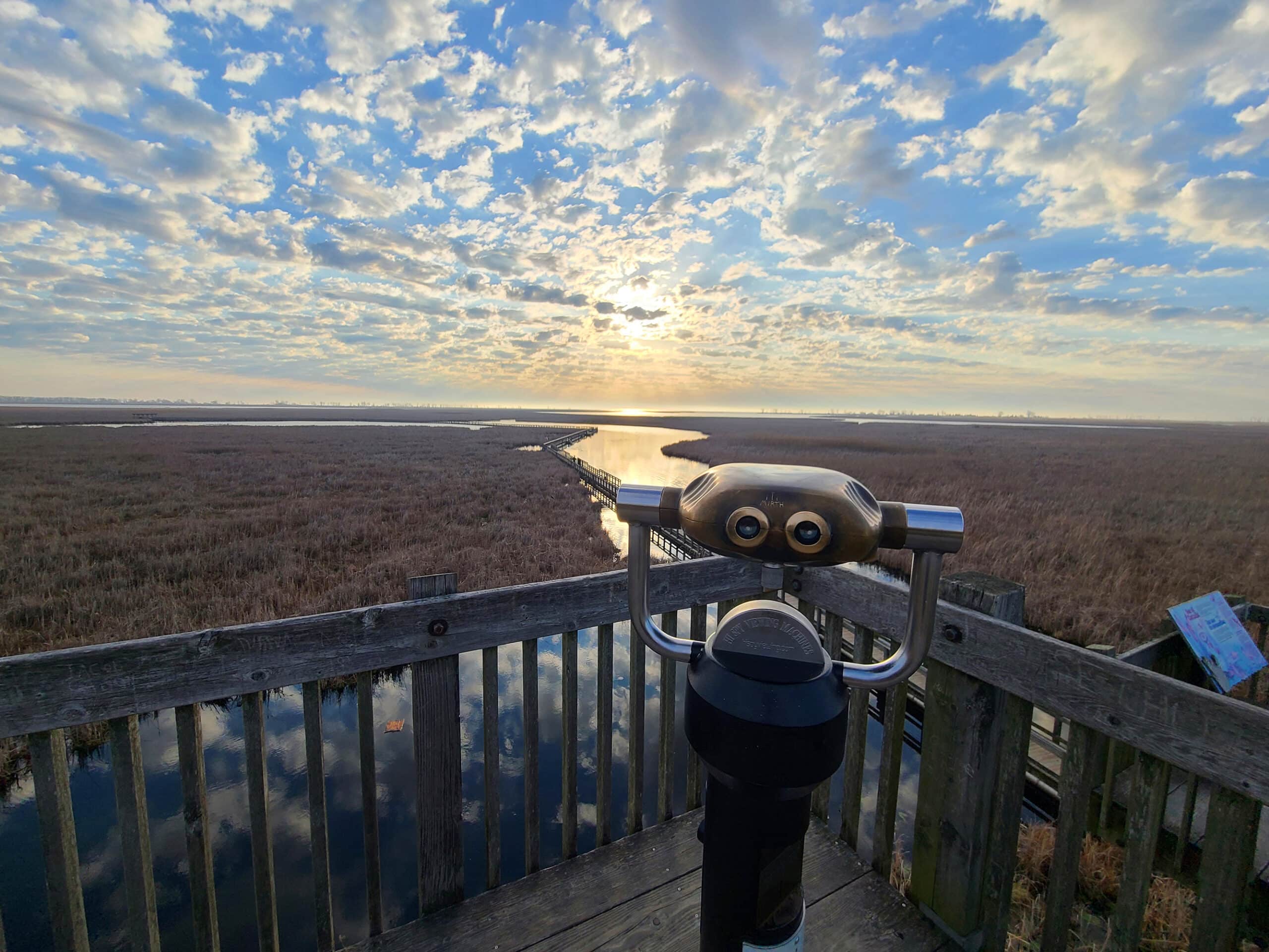 A public telescope looking out over a boardwalk marsh from above.