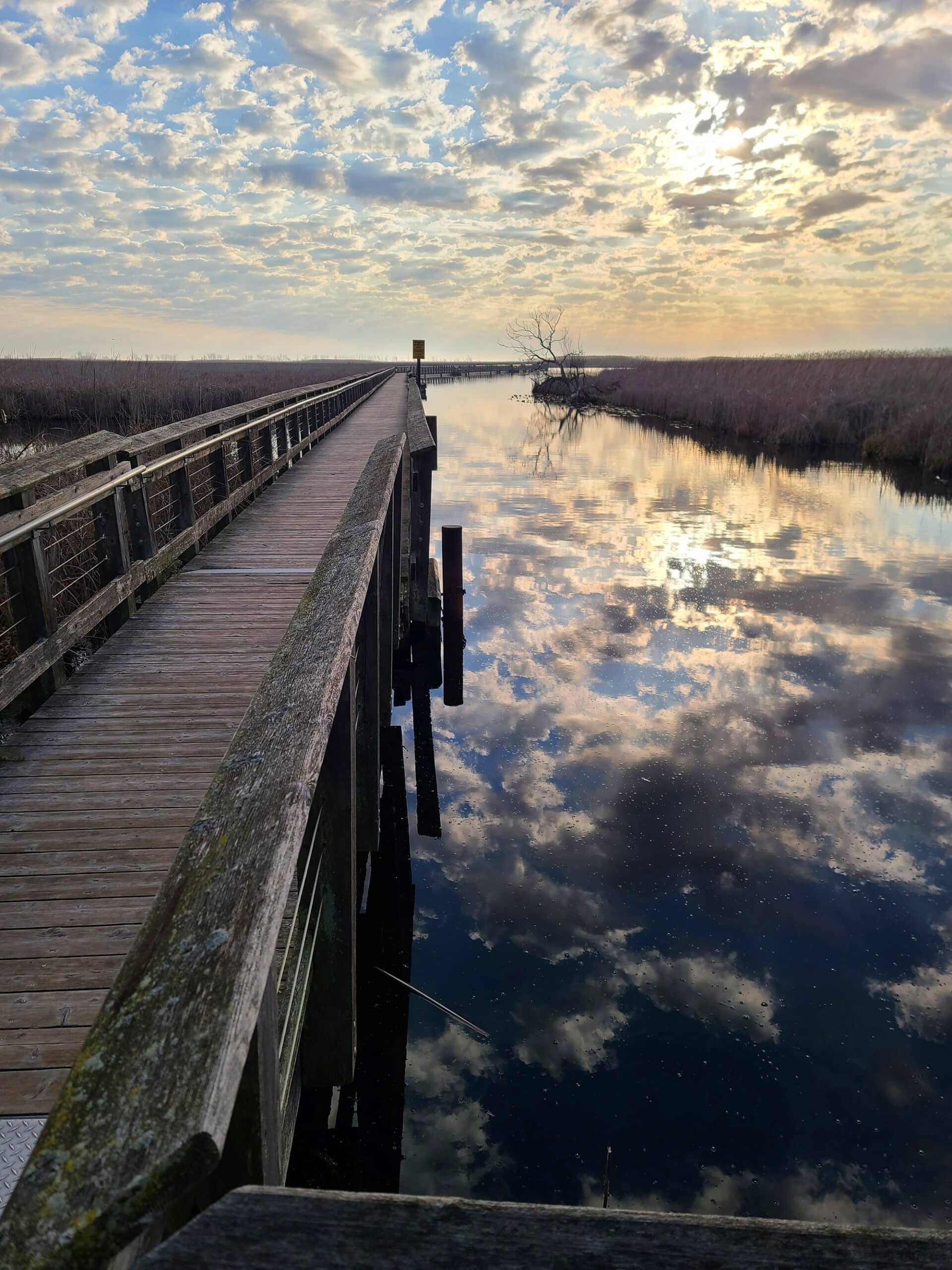 A boardwalk next to a long channel of water.