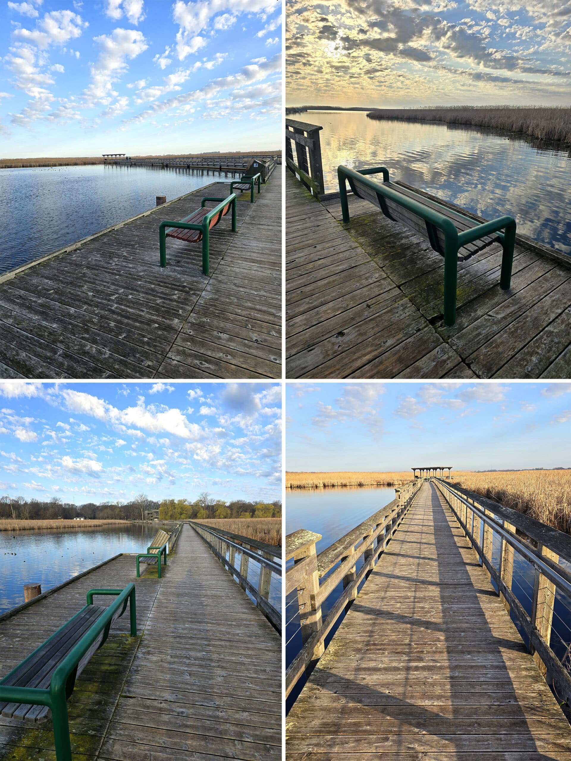 4 part image showing various views from the marsh boardwalk.