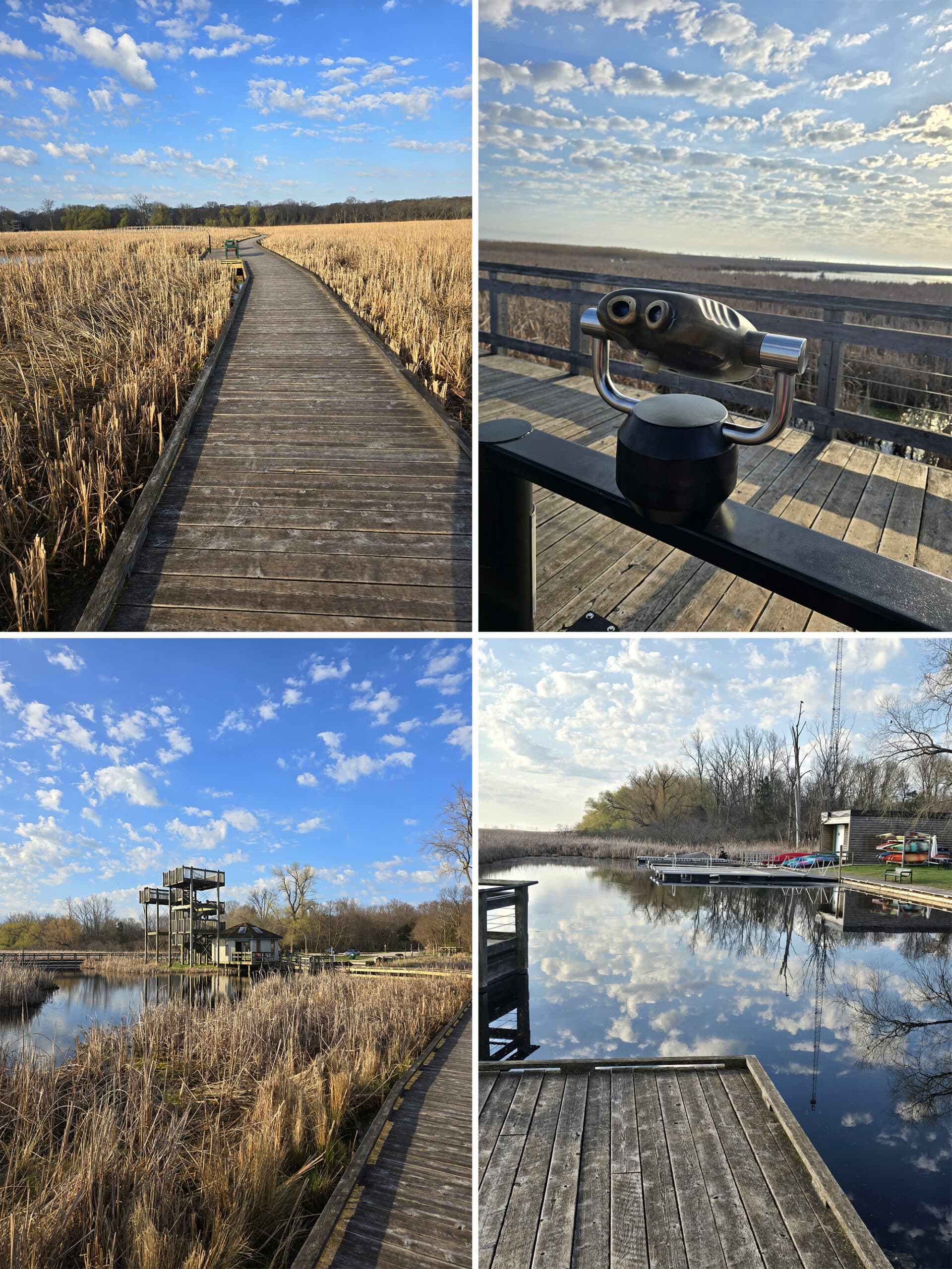 4 part image showing various views from the marsh boardwalk.