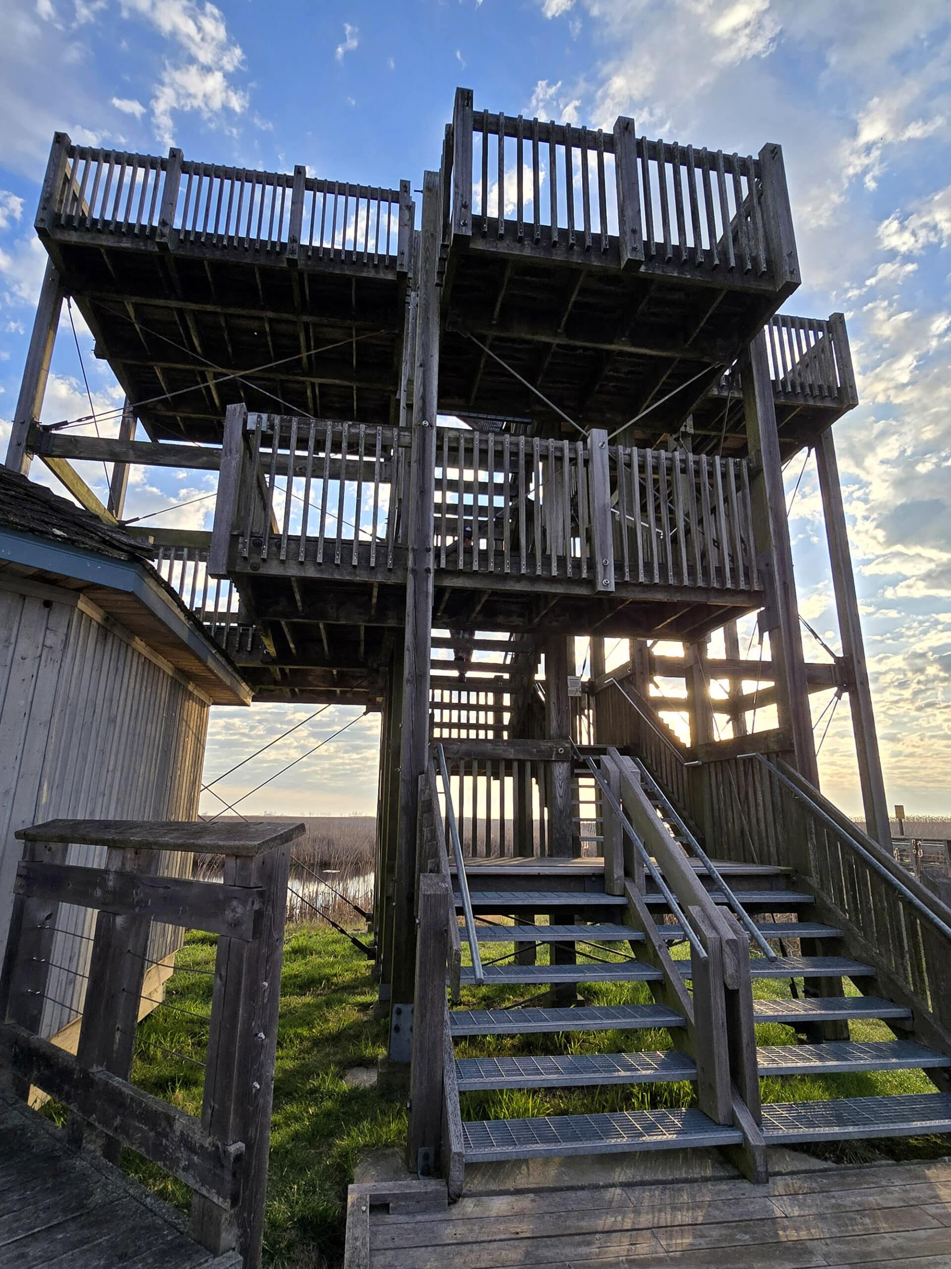 A large wooden observation tower with multiple viewing decks.