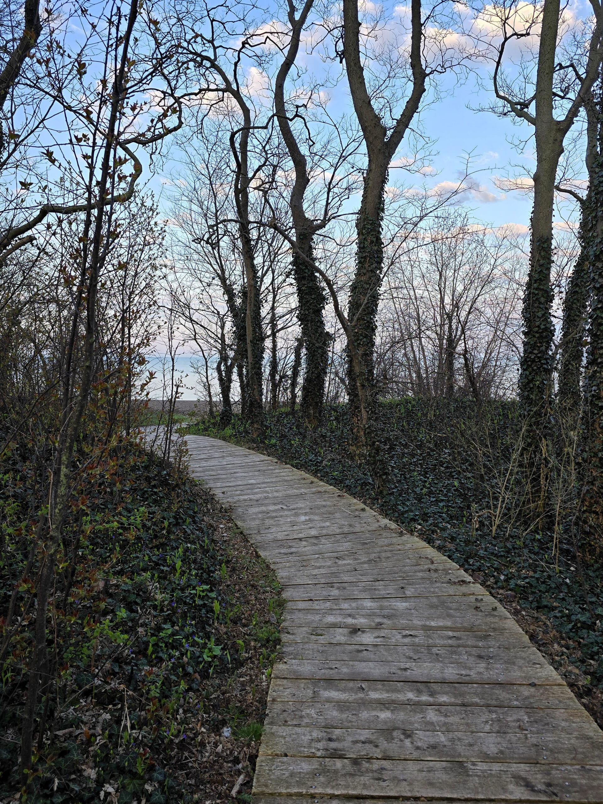 A boardwalk headed towards the beach.