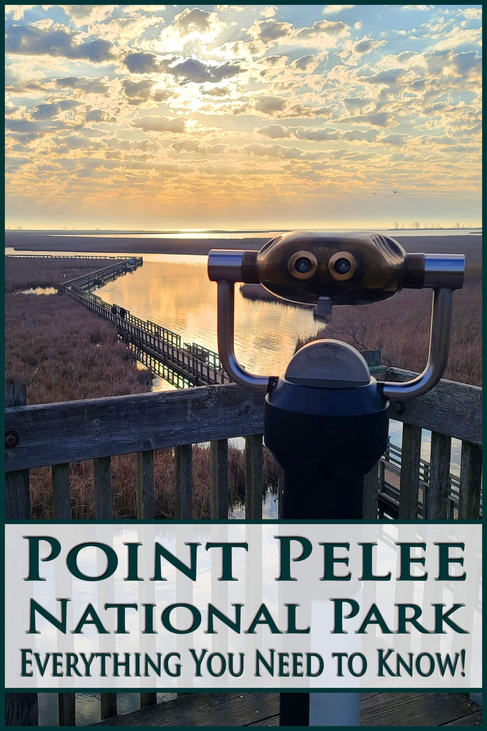 A public telescope looking out over a boardwalk marsh from above.  Overlaid text says point pelee national park: everything you need to know.