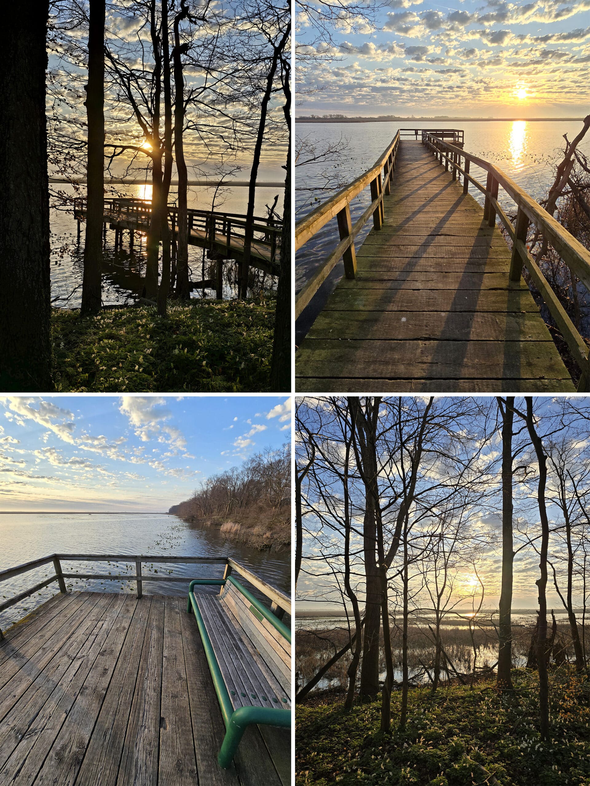 4 part image showing a wooden pier out over a pond.