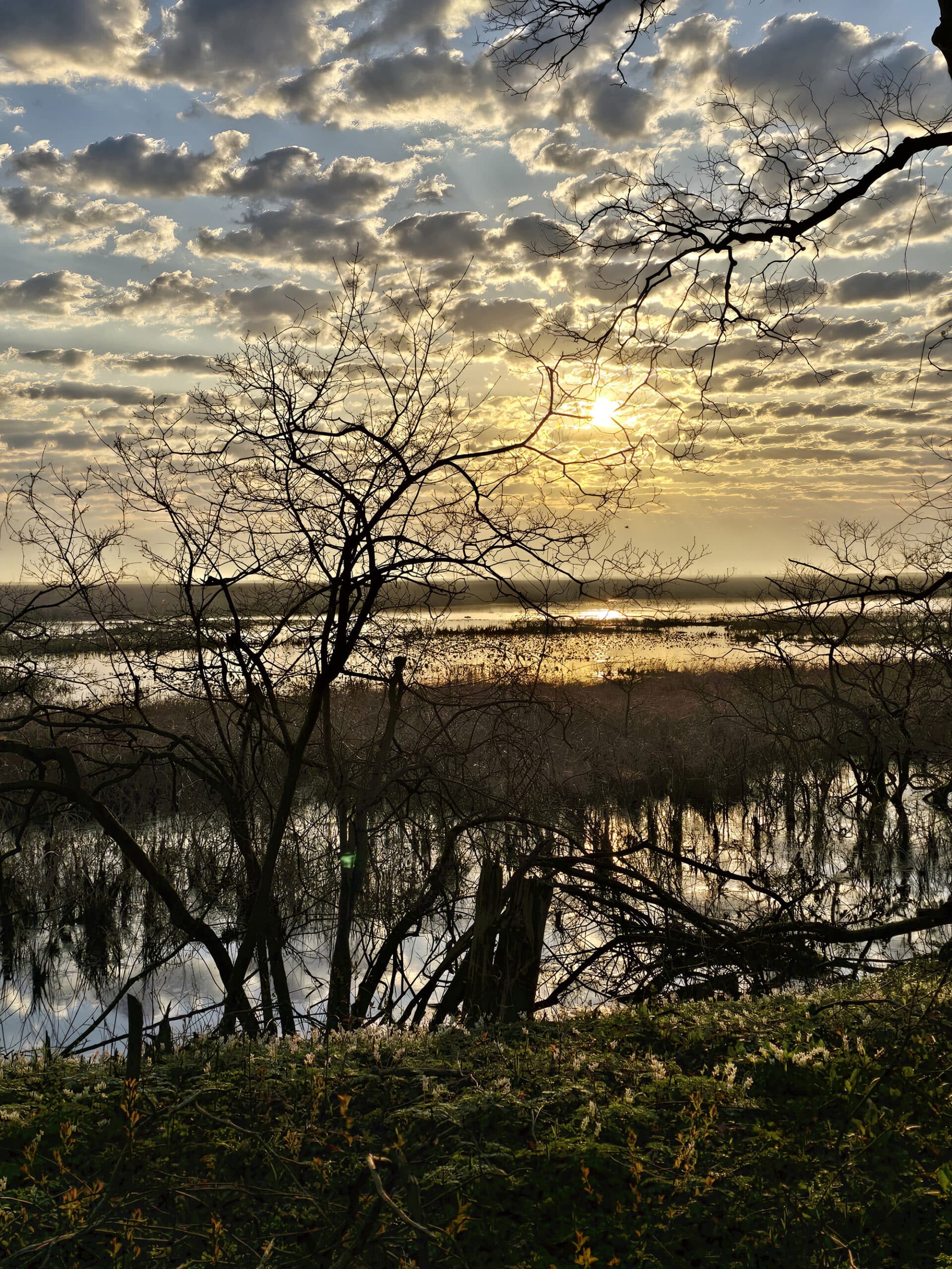 Sunrise coming up over a large pond.