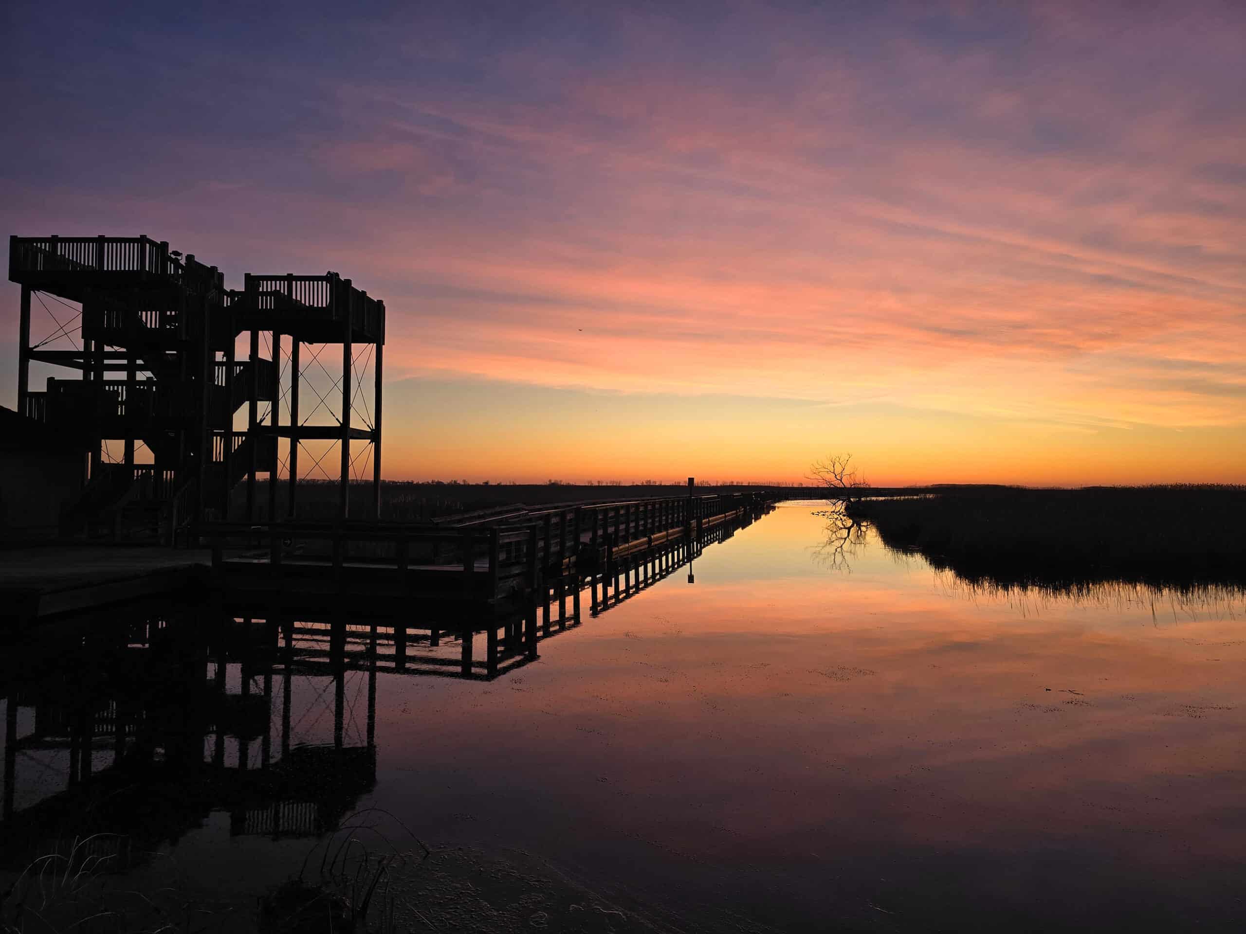 A gorgeous pink and orange sunset over the marsh on Point Pelee.