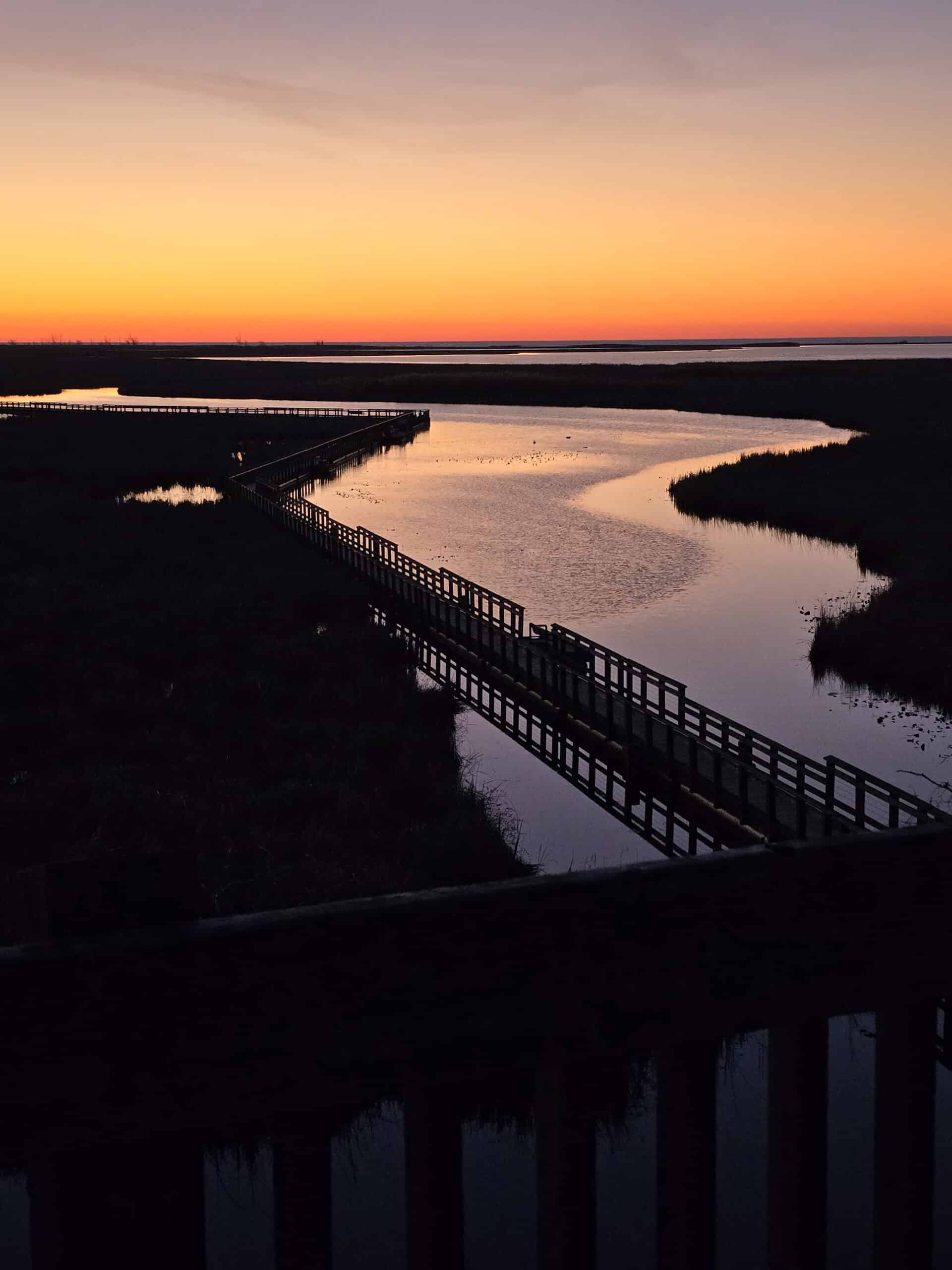 A gorgeous pink and orange sunset over the marsh on Point Pelee.