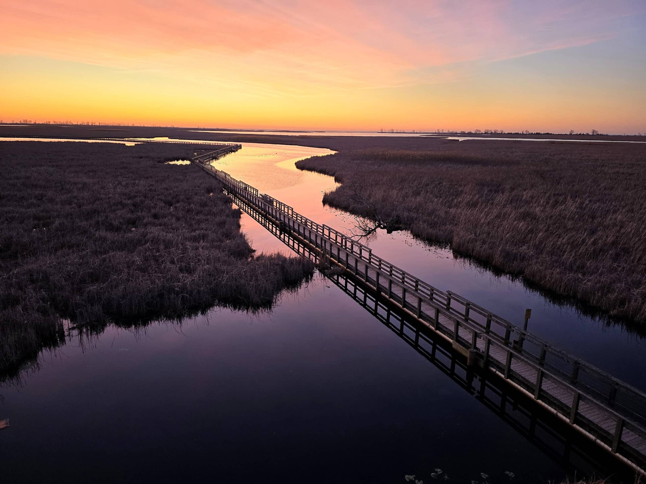 A gorgeous pink and orange sunset over the marsh on Point Pelee.