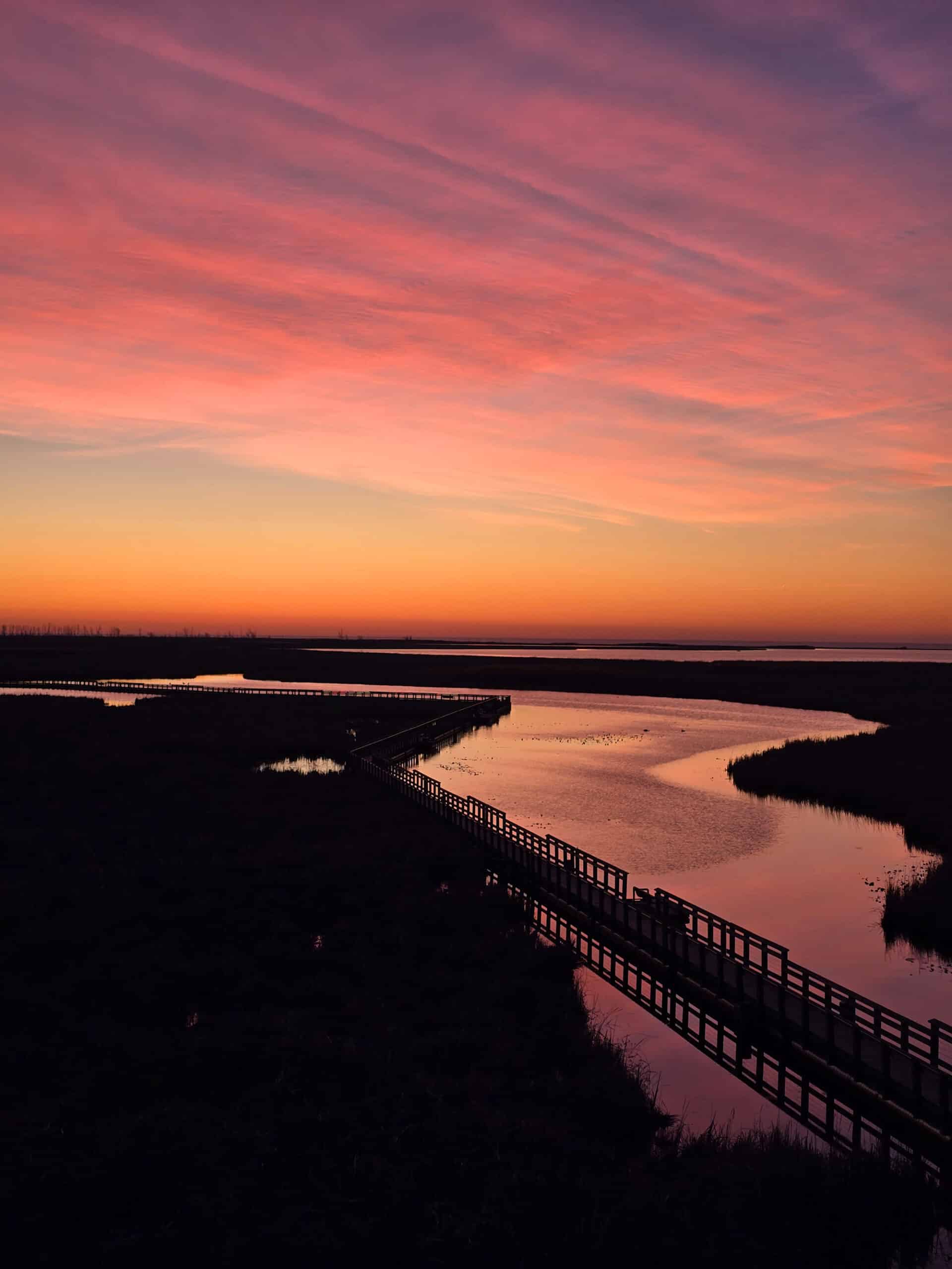 A gorgeous pink and orange sunset over the marsh on Point Pelee.