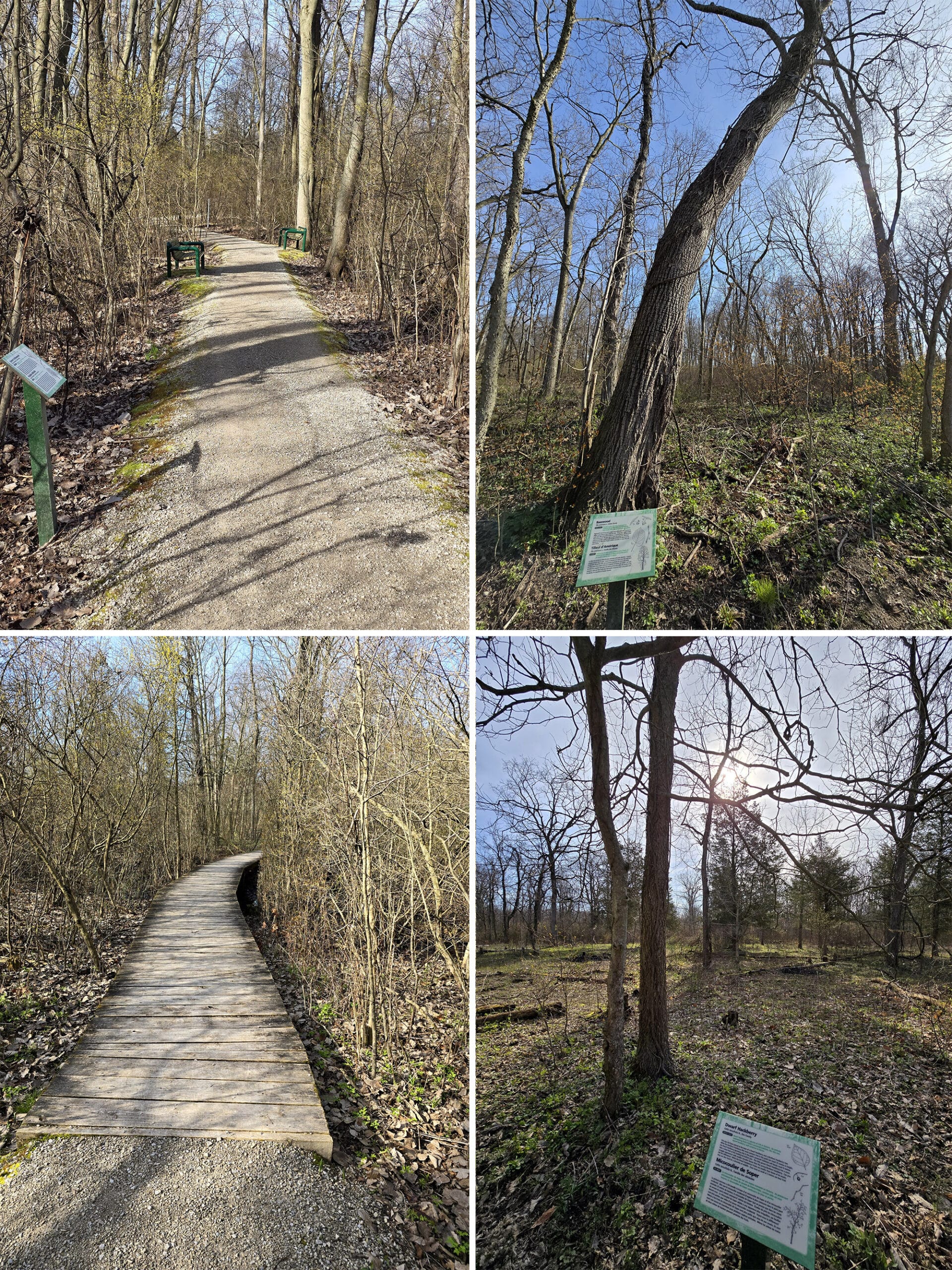 4 part image showing views along the Tilden Woods Trail.