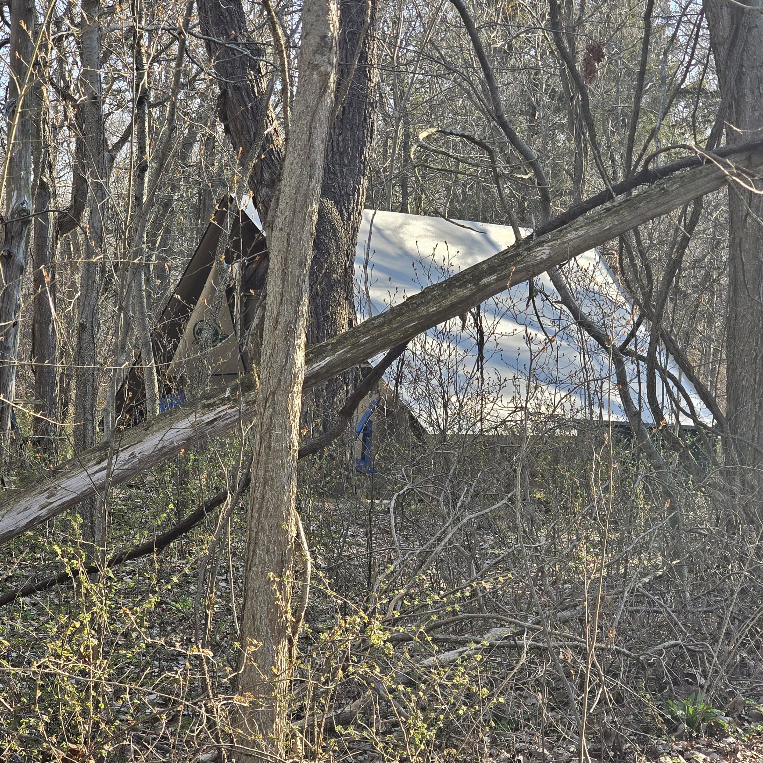 A Parks Canada oTENTik camping structure, mostly obscured by trees.