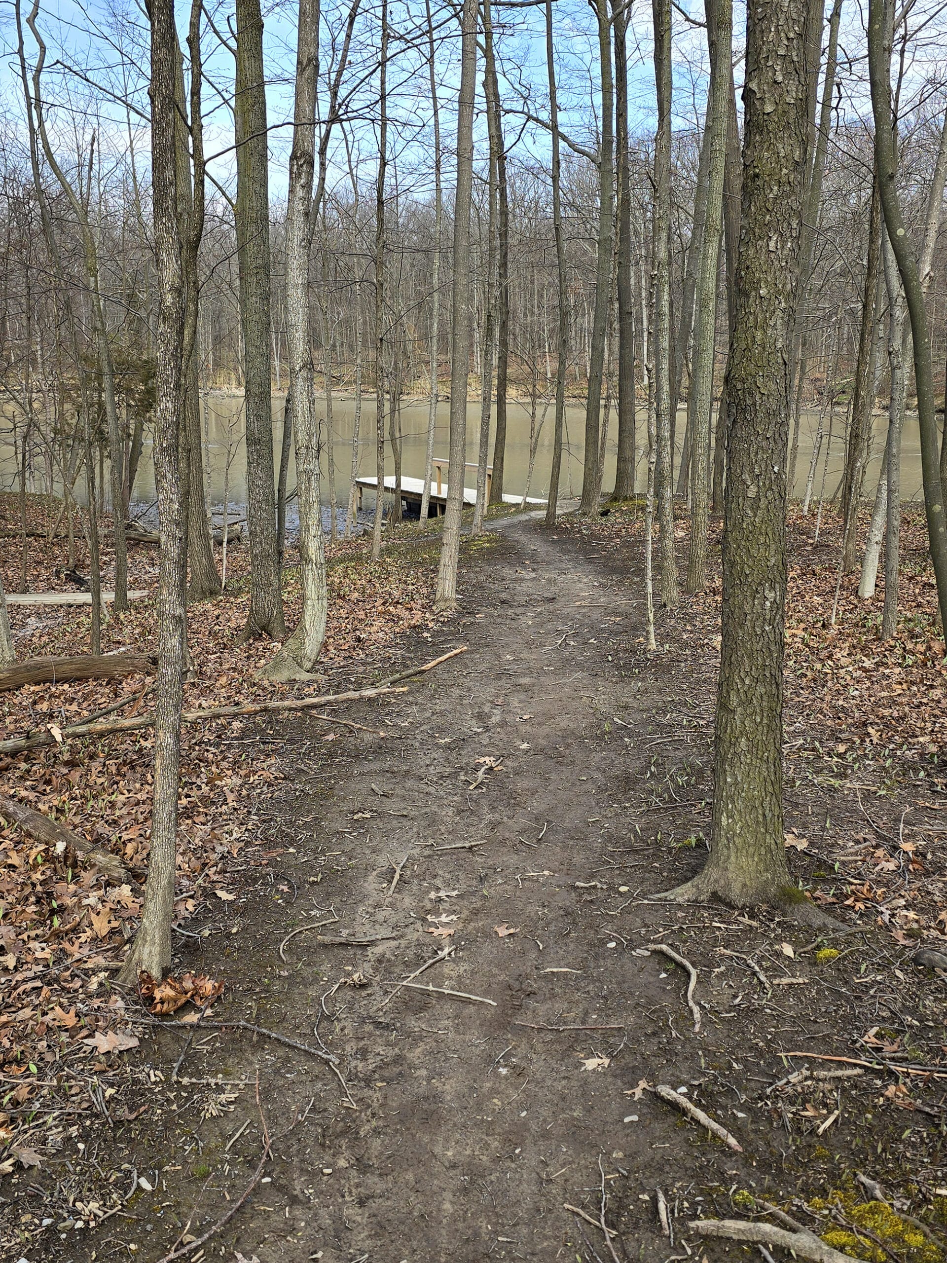 A dirt trail through some trees, with a wooden dock in the background.