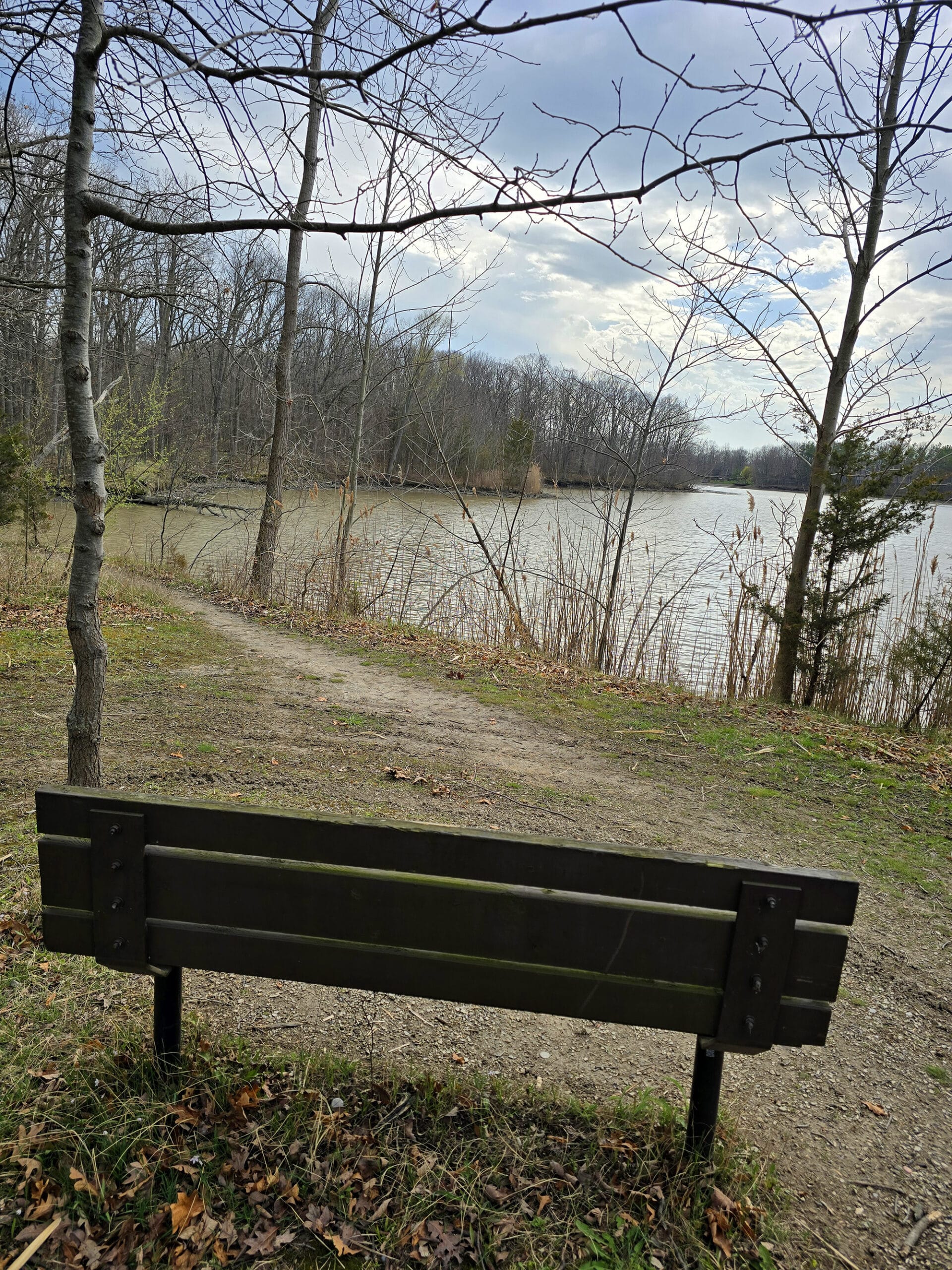 A bench overlooking a rough trail by the water.