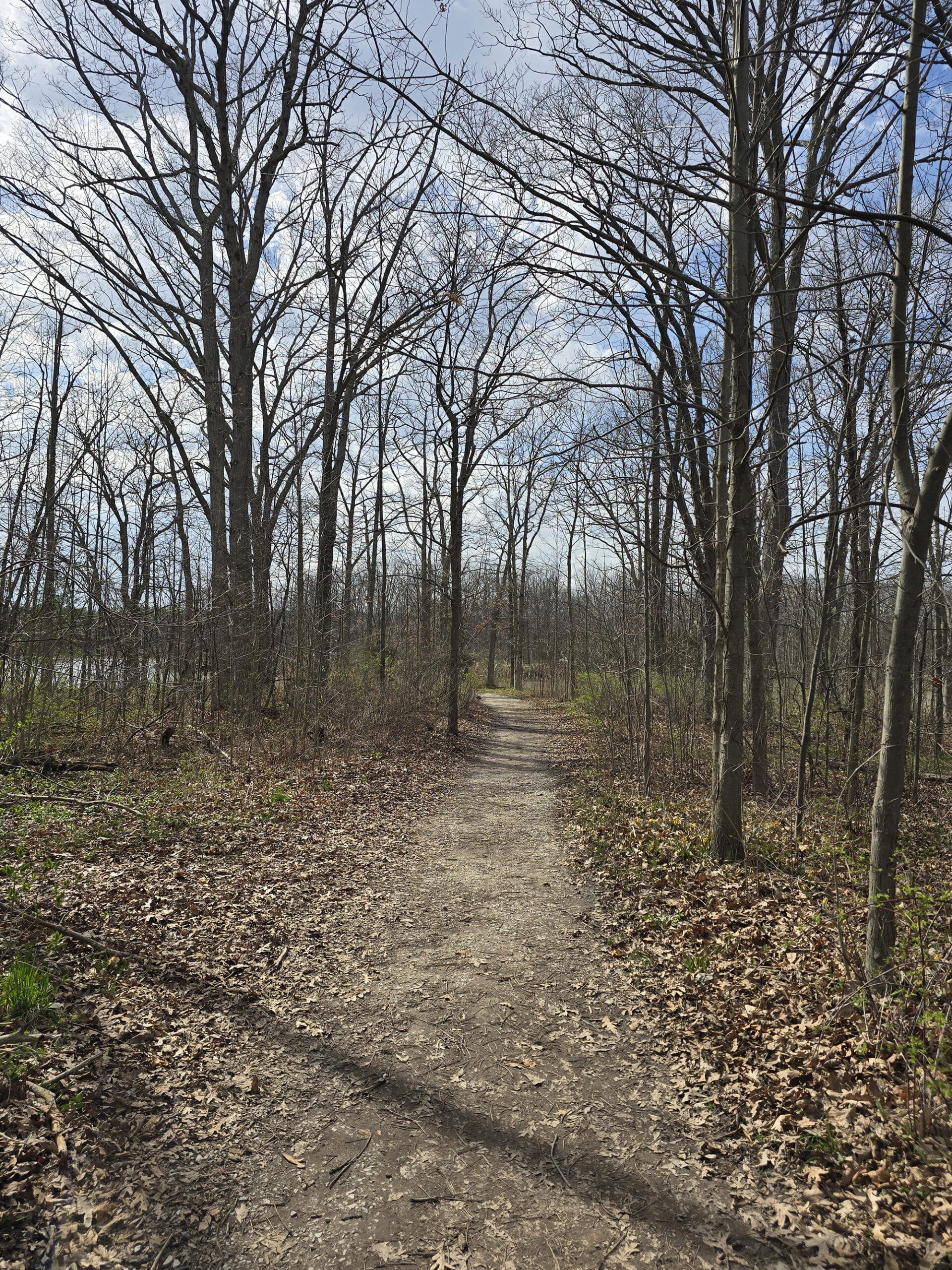 A rustic trail through the woods.