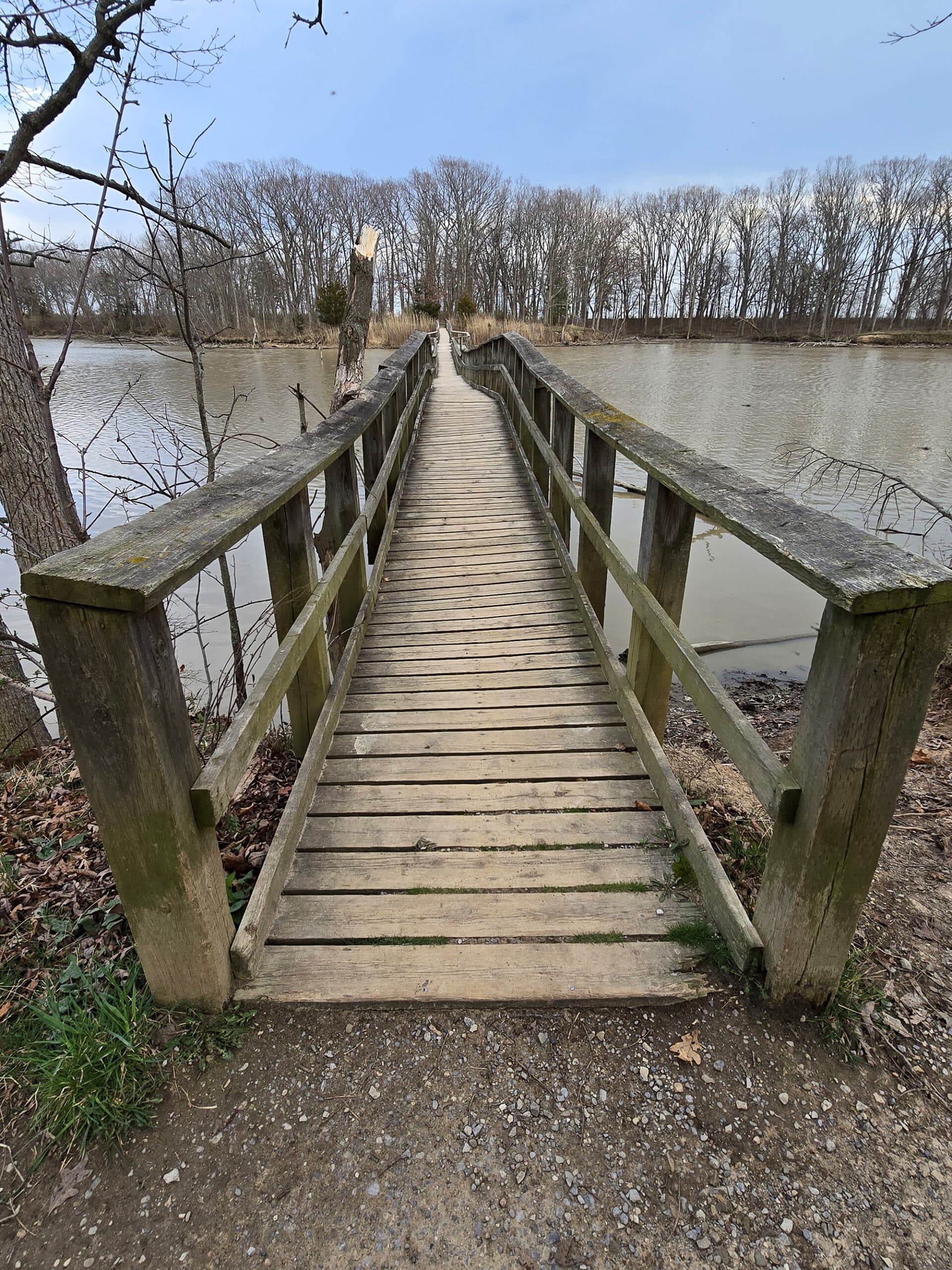 A long wooden bridge over a creek.