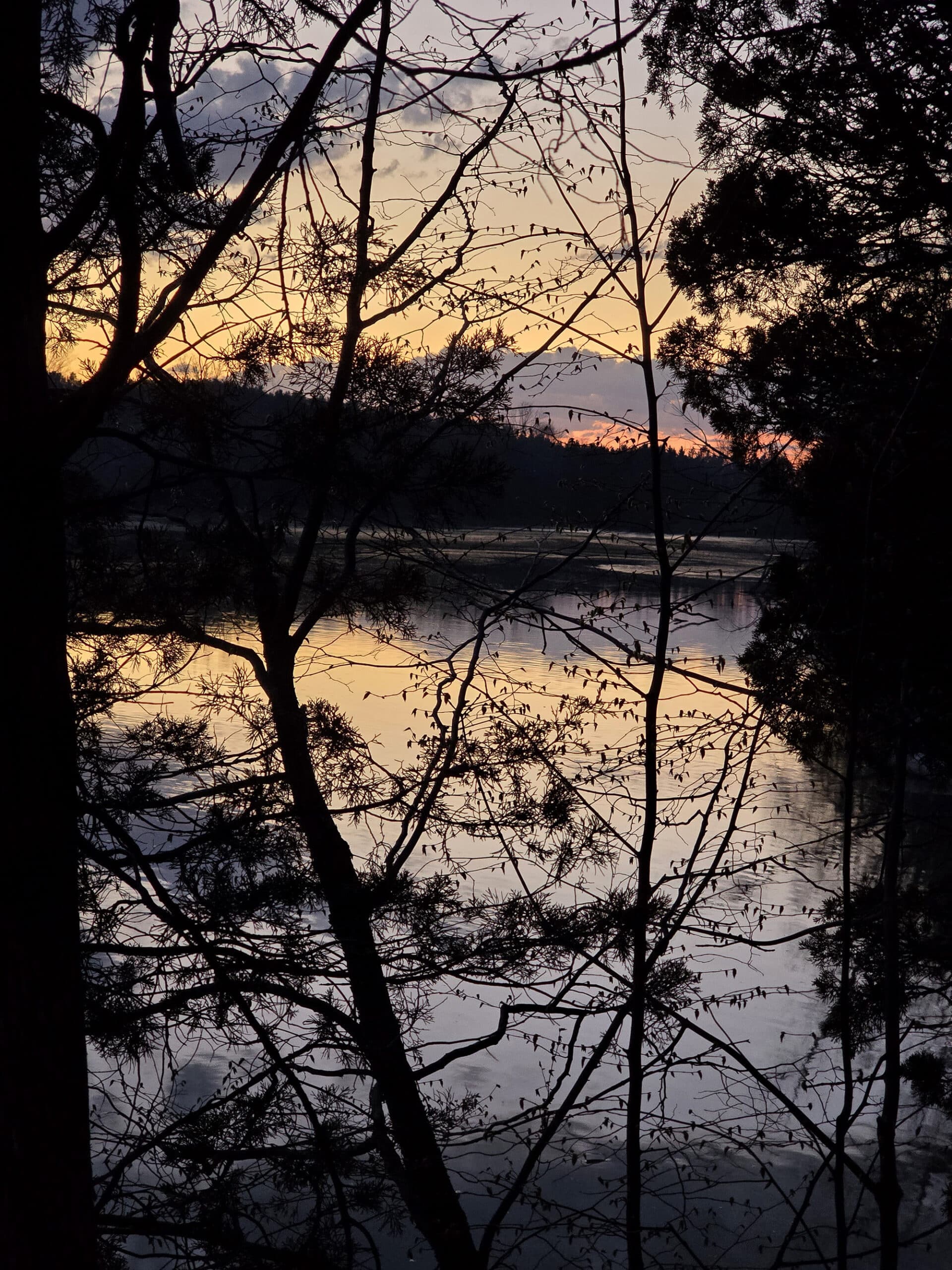 A pink and purple sunset over a creek at wheatley provincial park.