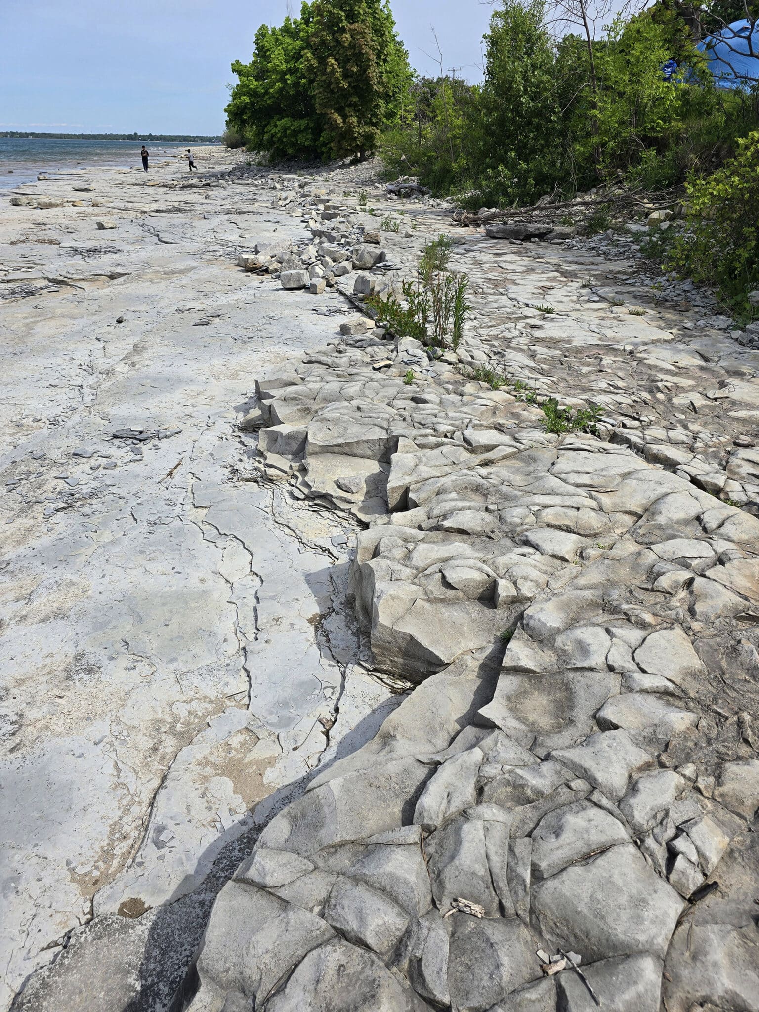 Craigleith Provincial Park Campground Review [Blue Mountains] - 2 Nerds ...