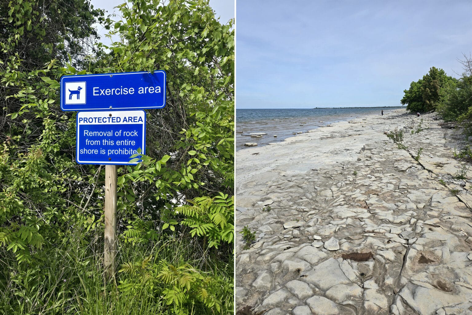 Craigleith Provincial Park Campground Review [Blue Mountains] - 2 Nerds ...